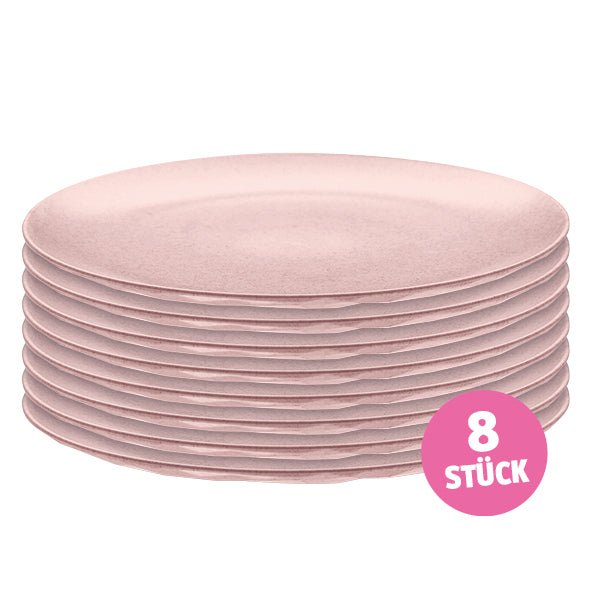 Flacher Teller CLUB PLATE 260mm 8er Set