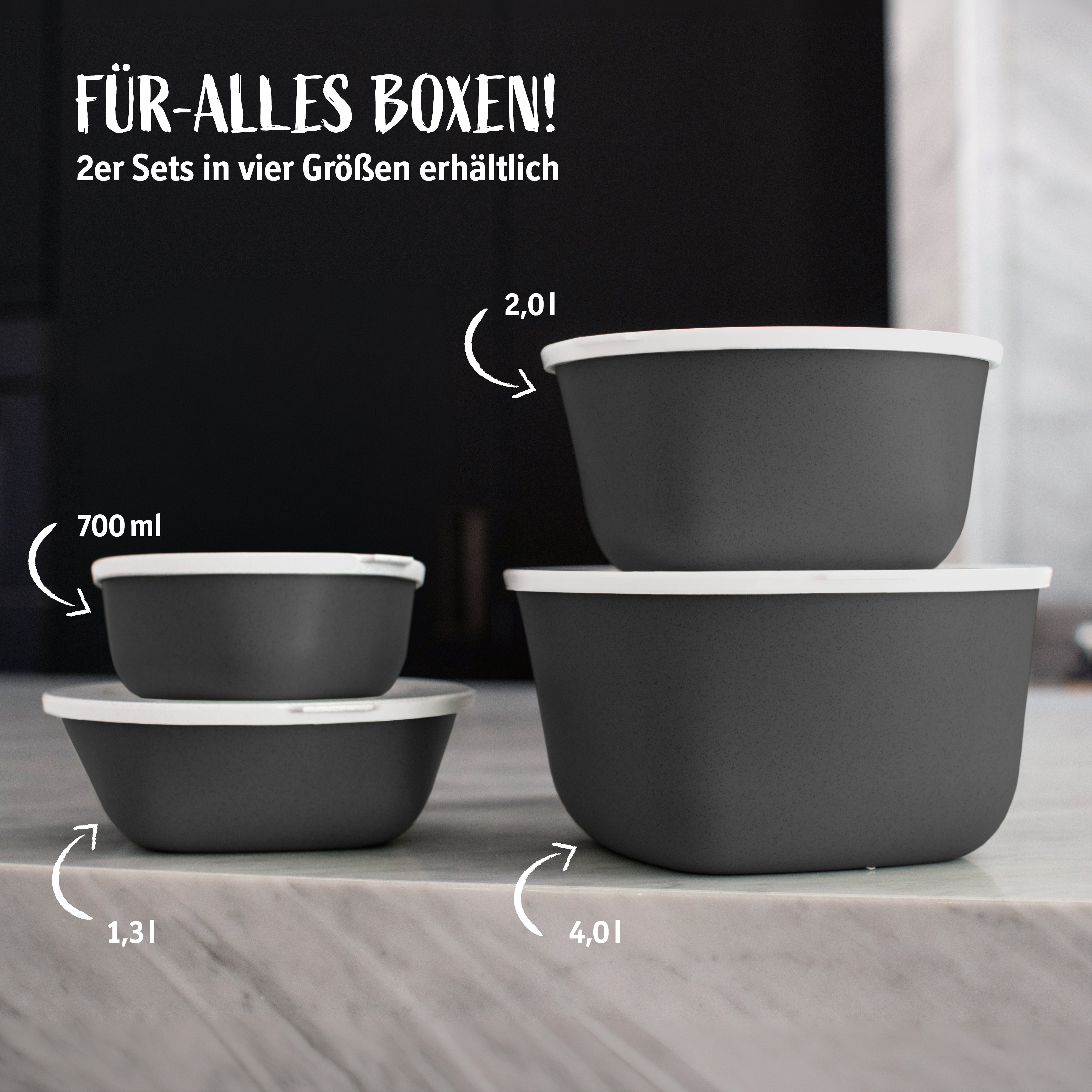 2er Set Box mit transparentem Deckel CONNECT BOX 2