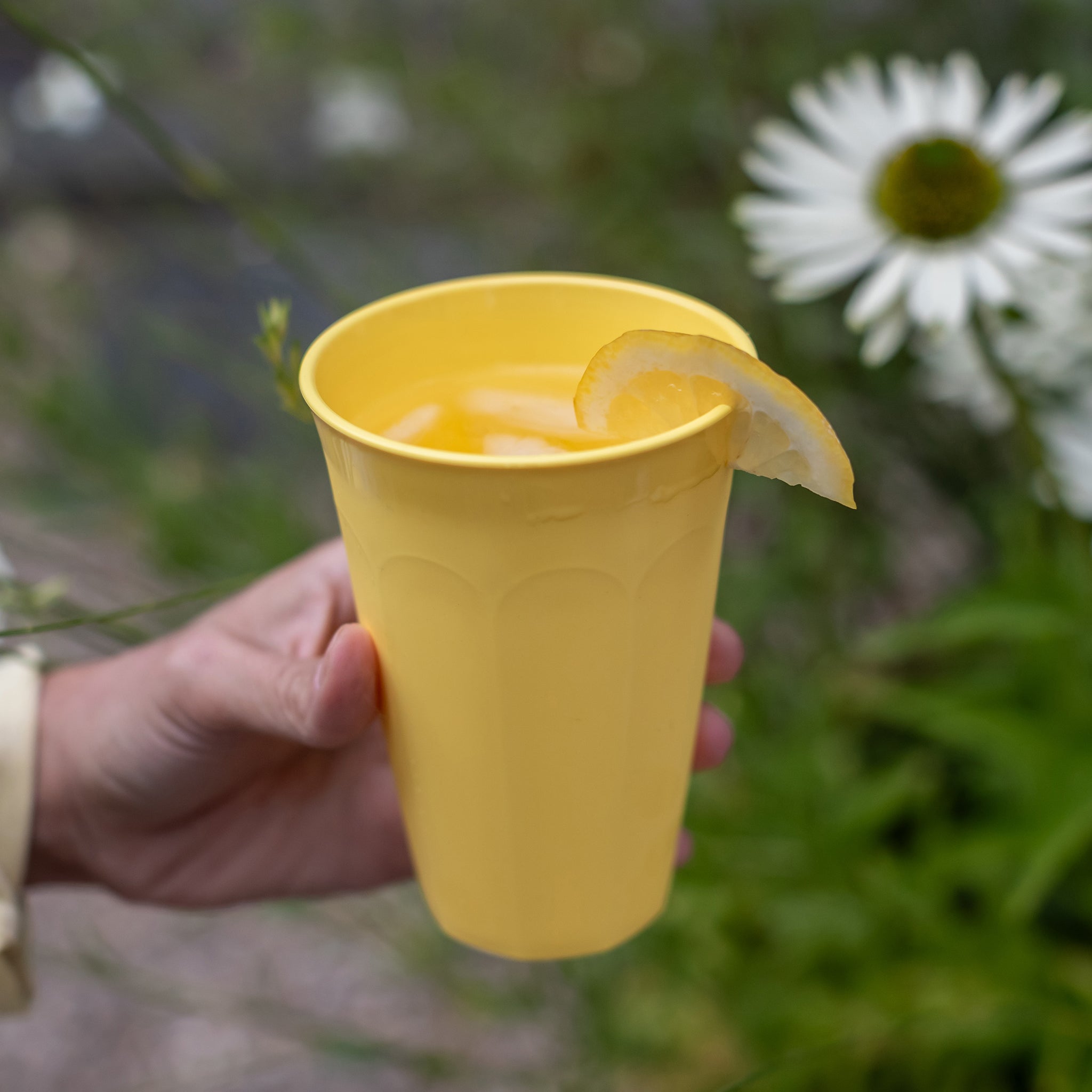 koziol Becher NORA CUP L