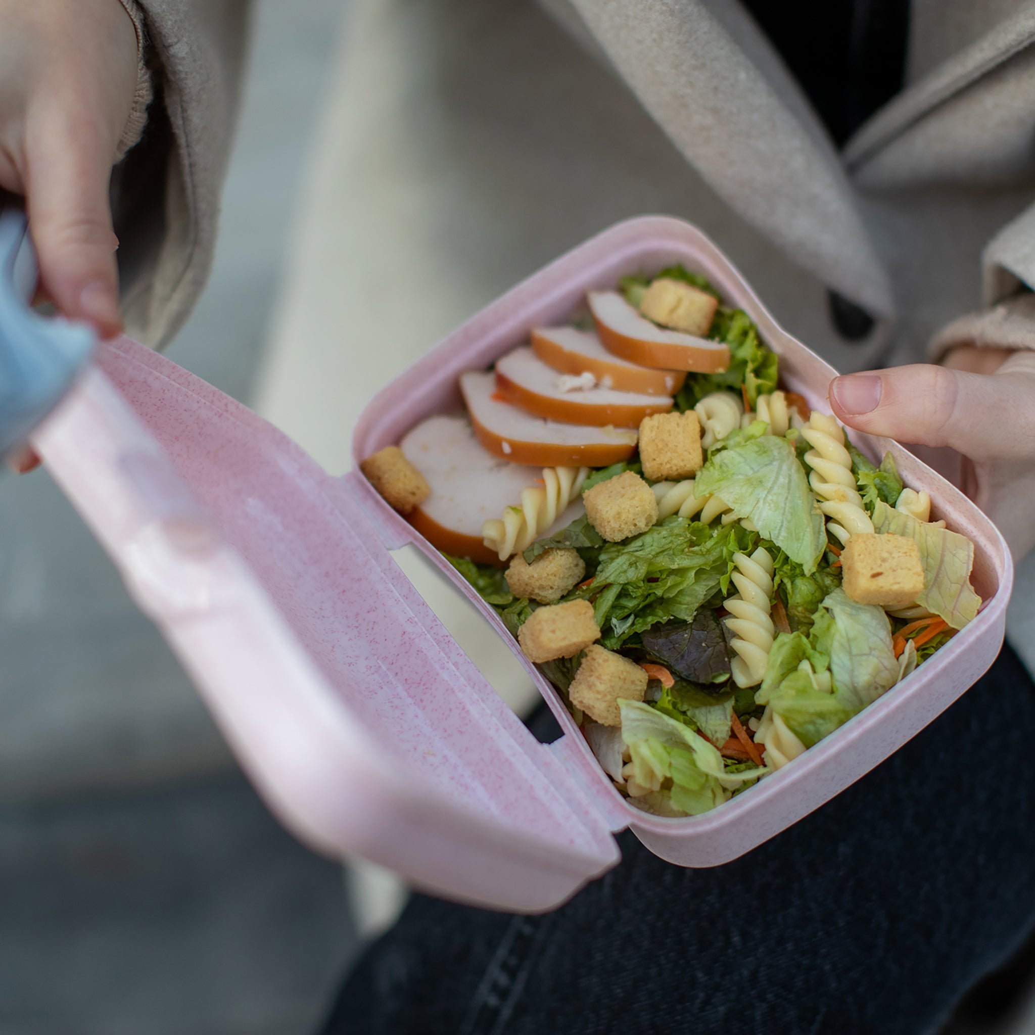 koziol Lunchbox BASIC