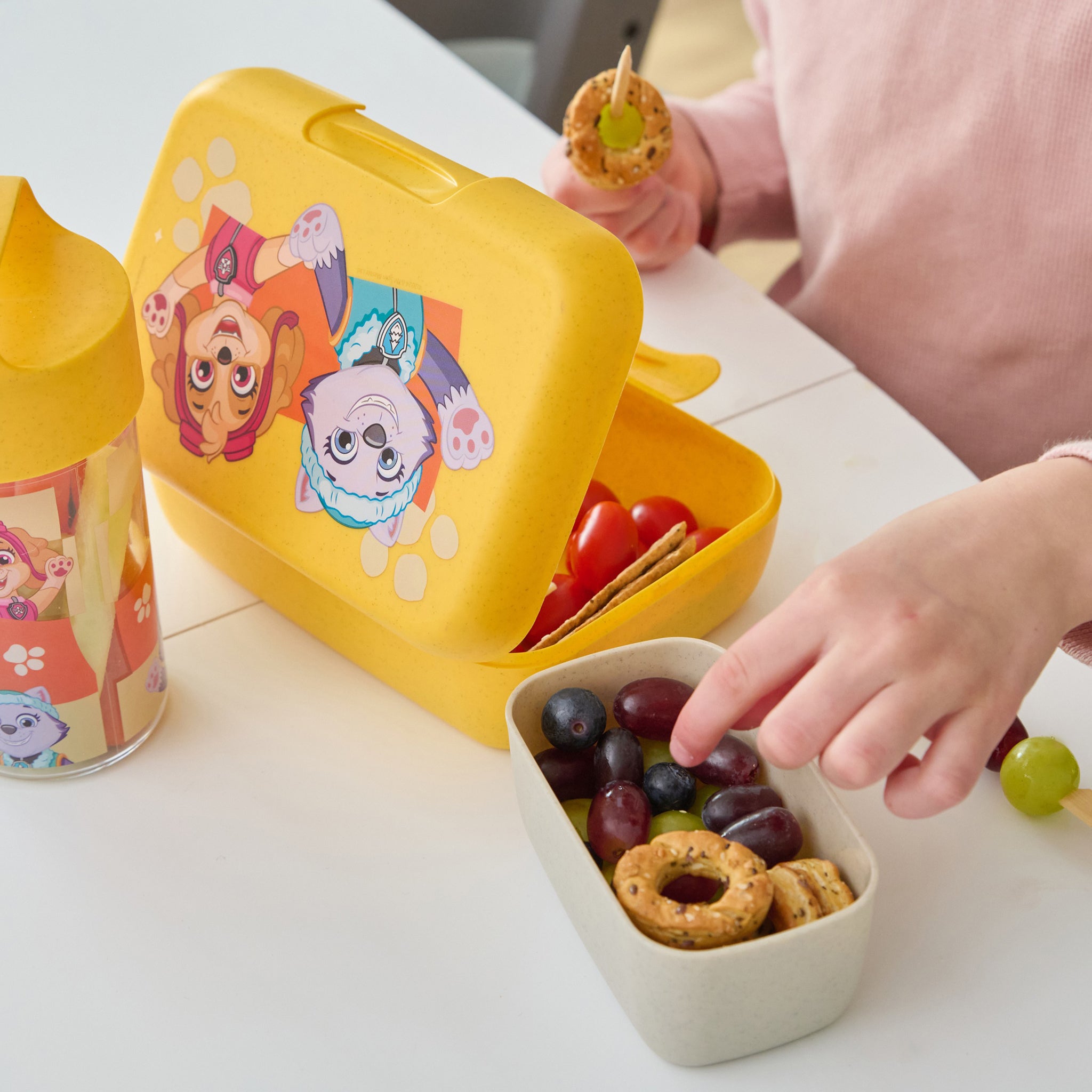koziol Lunchbox mit Trennschale CANDY L GROW PAW PATROL