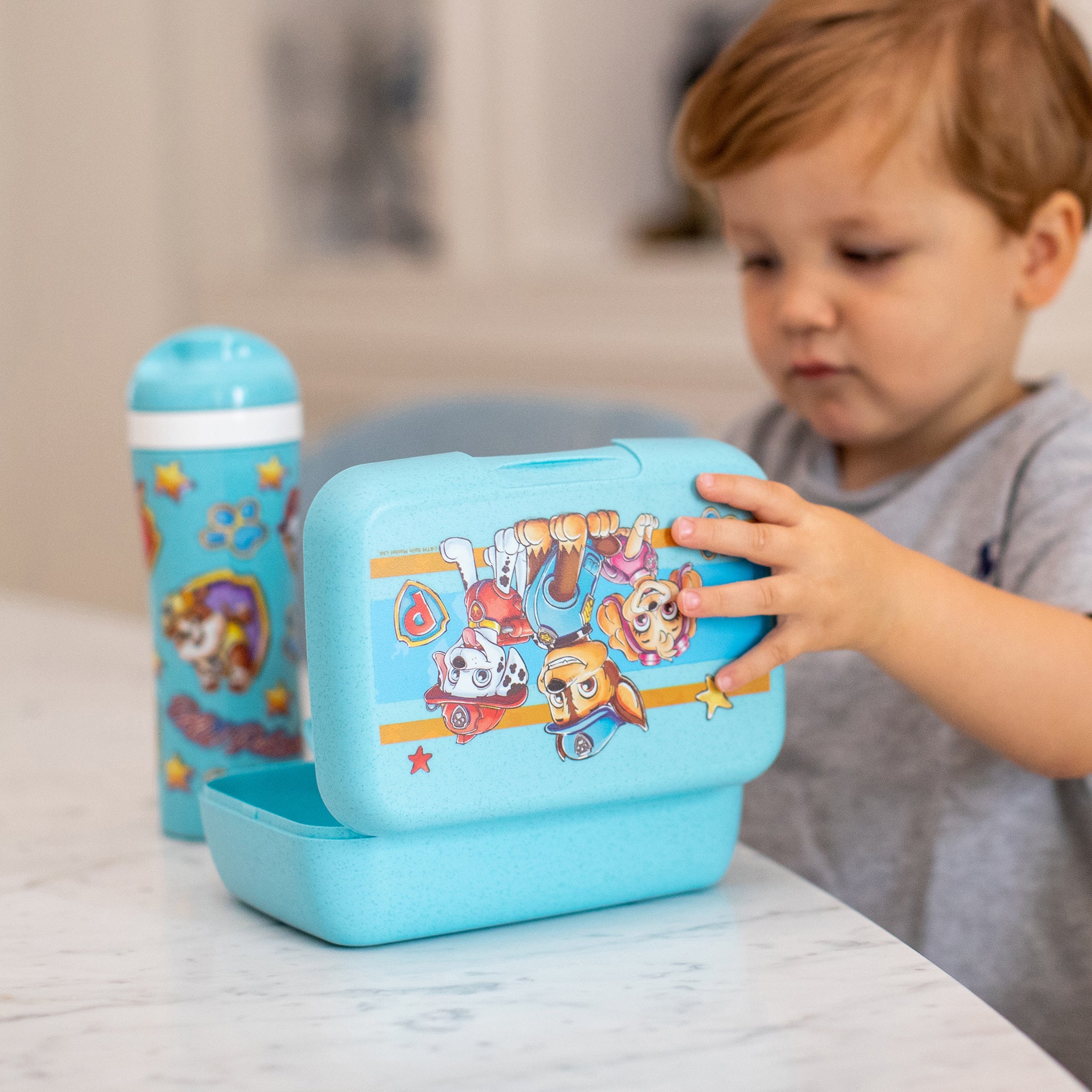koziol Lunchbox mit Trennschale CANDY L PAW PATROL