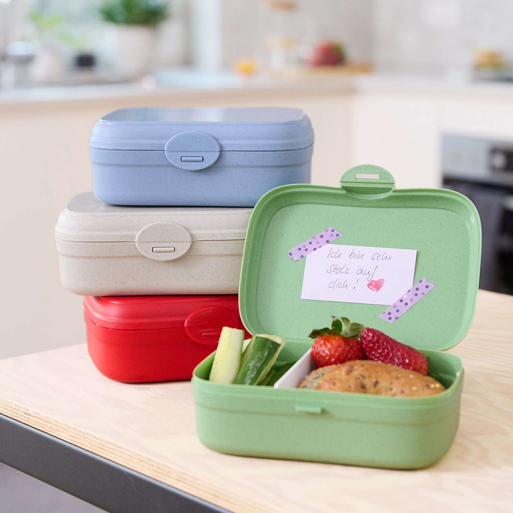 koziol Lunchbox mit Trennsteg ARENA