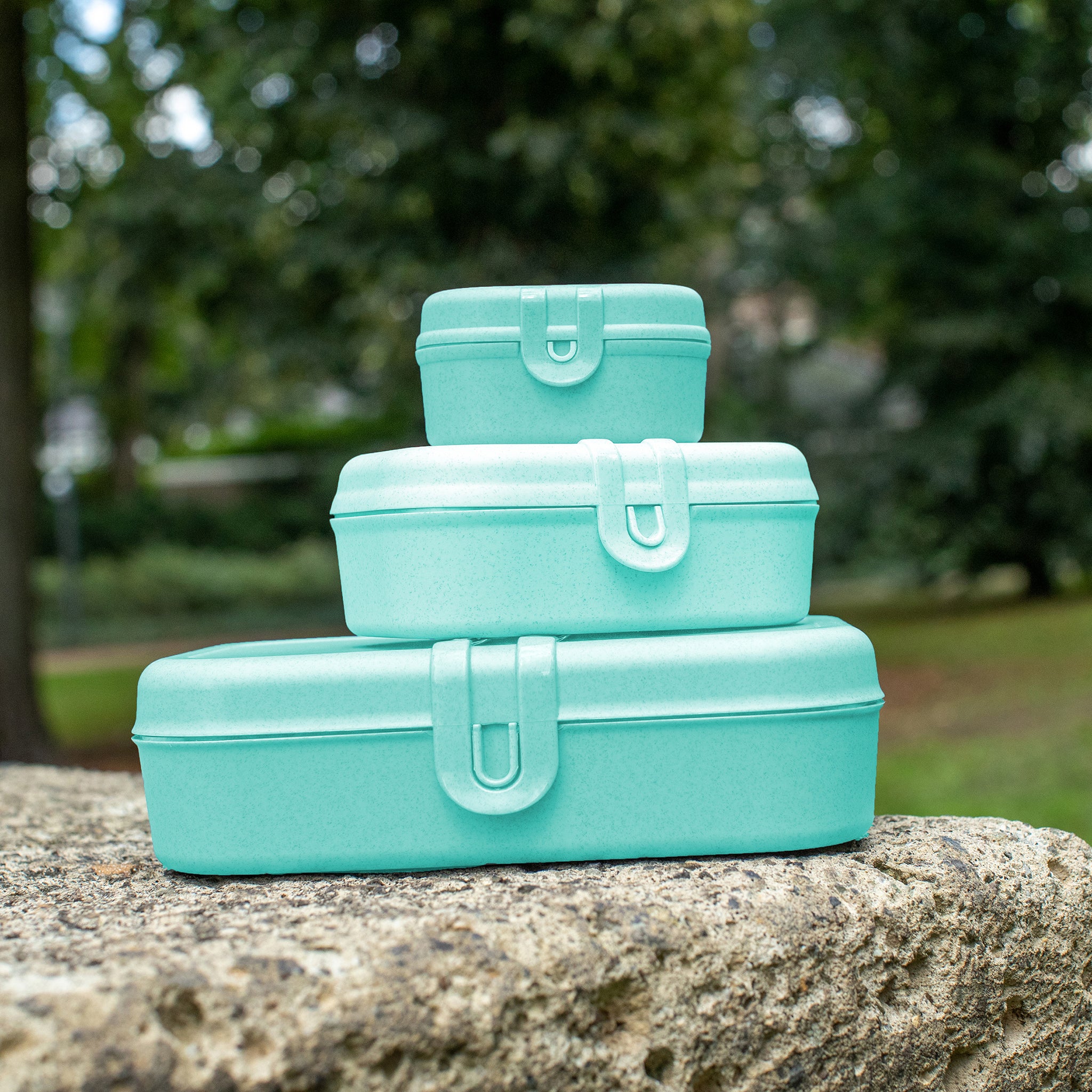 koziol Lunchbox mit Trennsteg PASCAL L