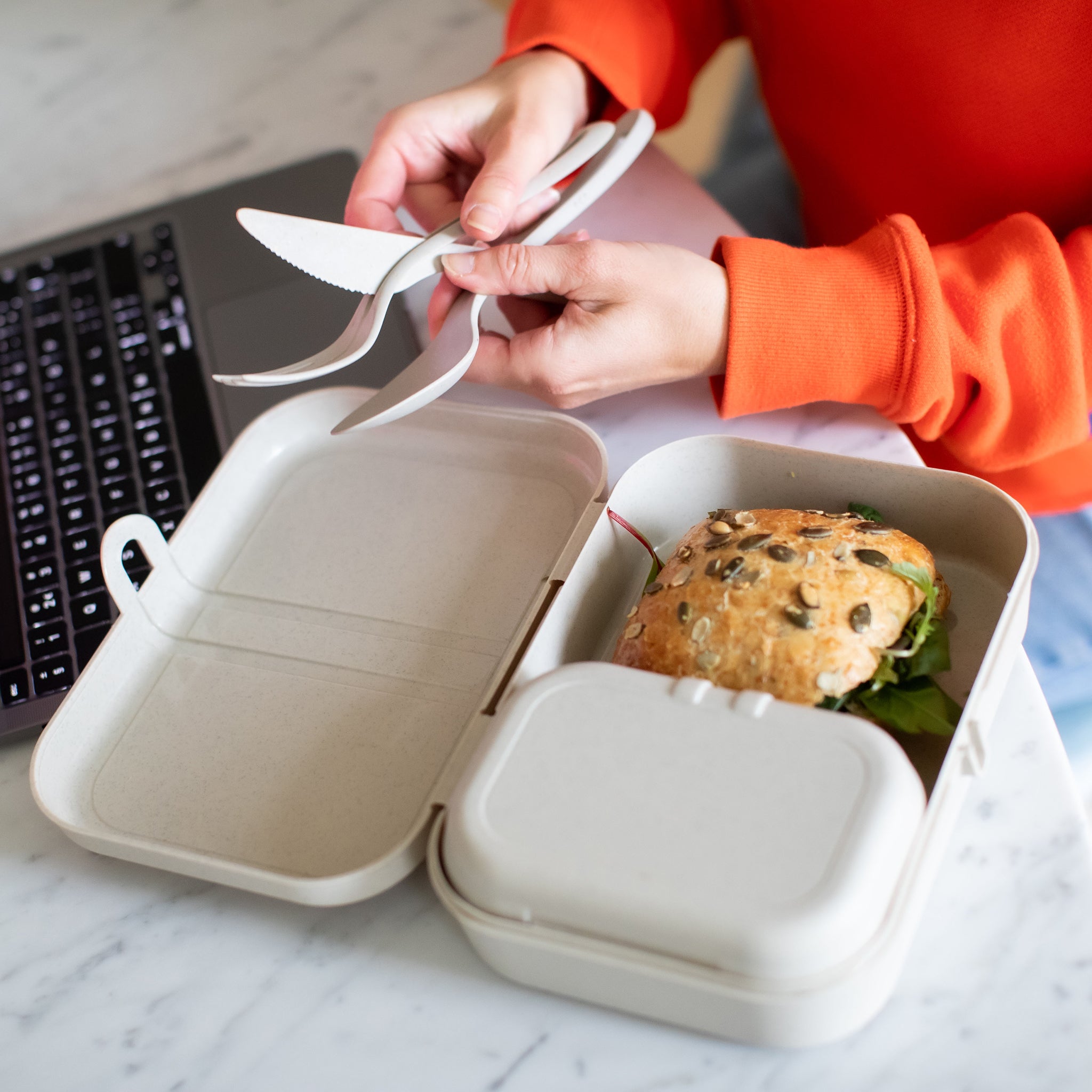 koziol Lunchbox mit Trennsteg PASCAL L