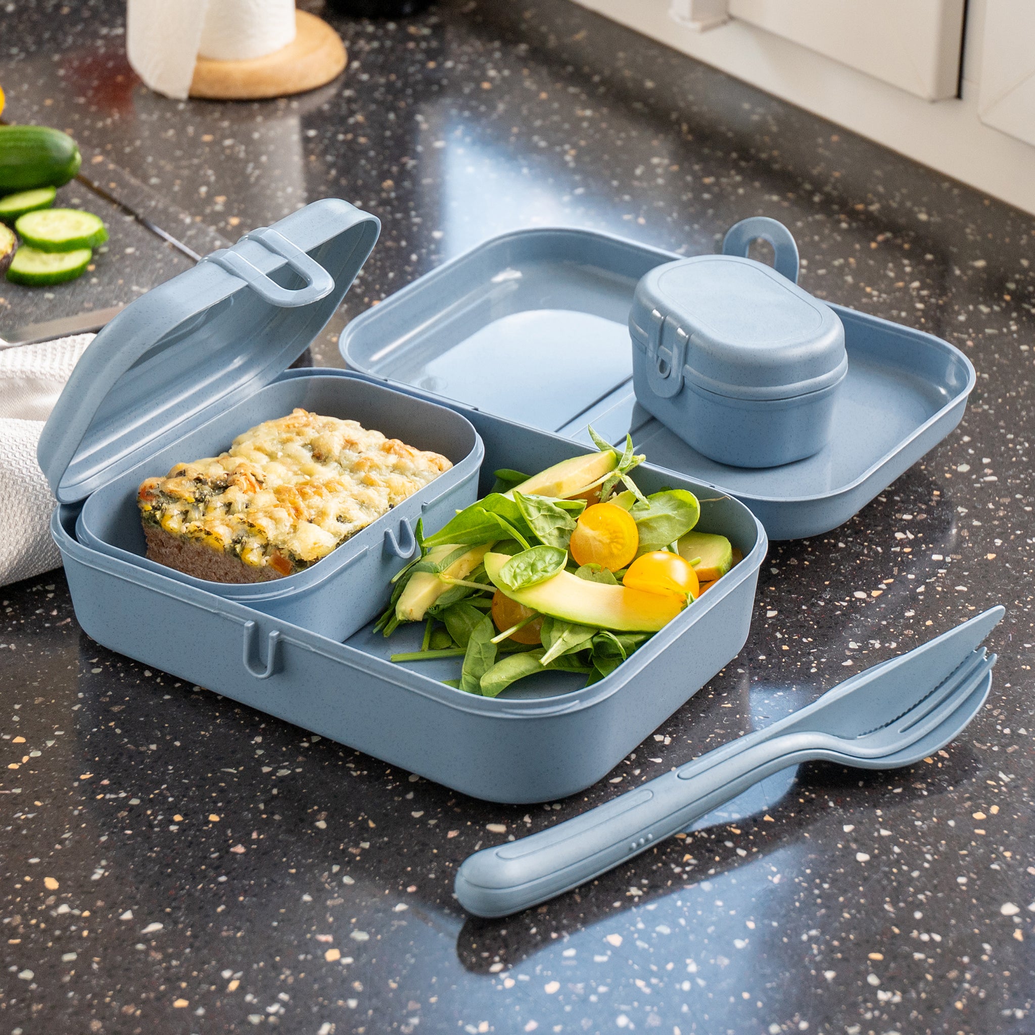 koziol Lunchbox mit Trennsteg PASCAL L