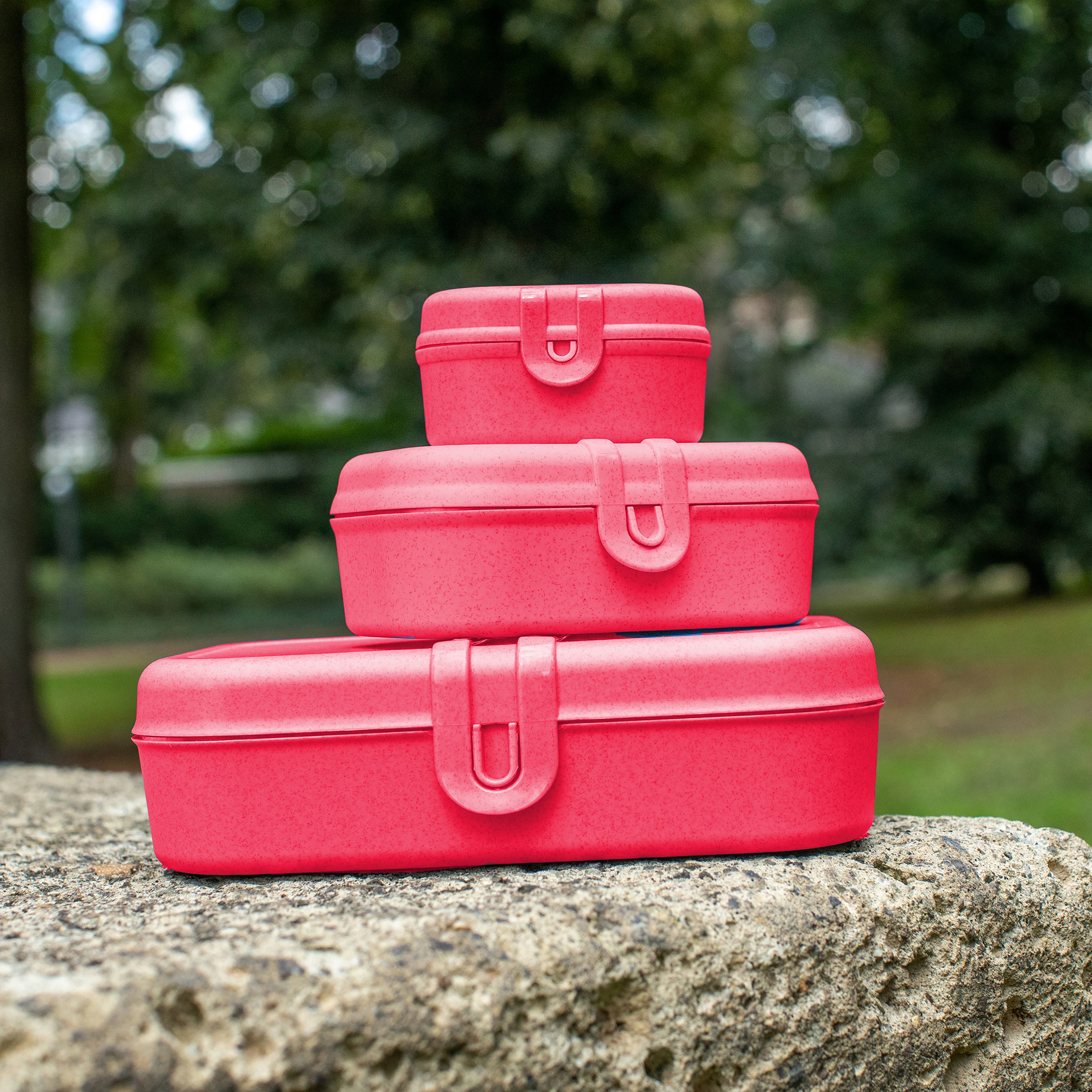 koziol Lunchbox PASCAL L