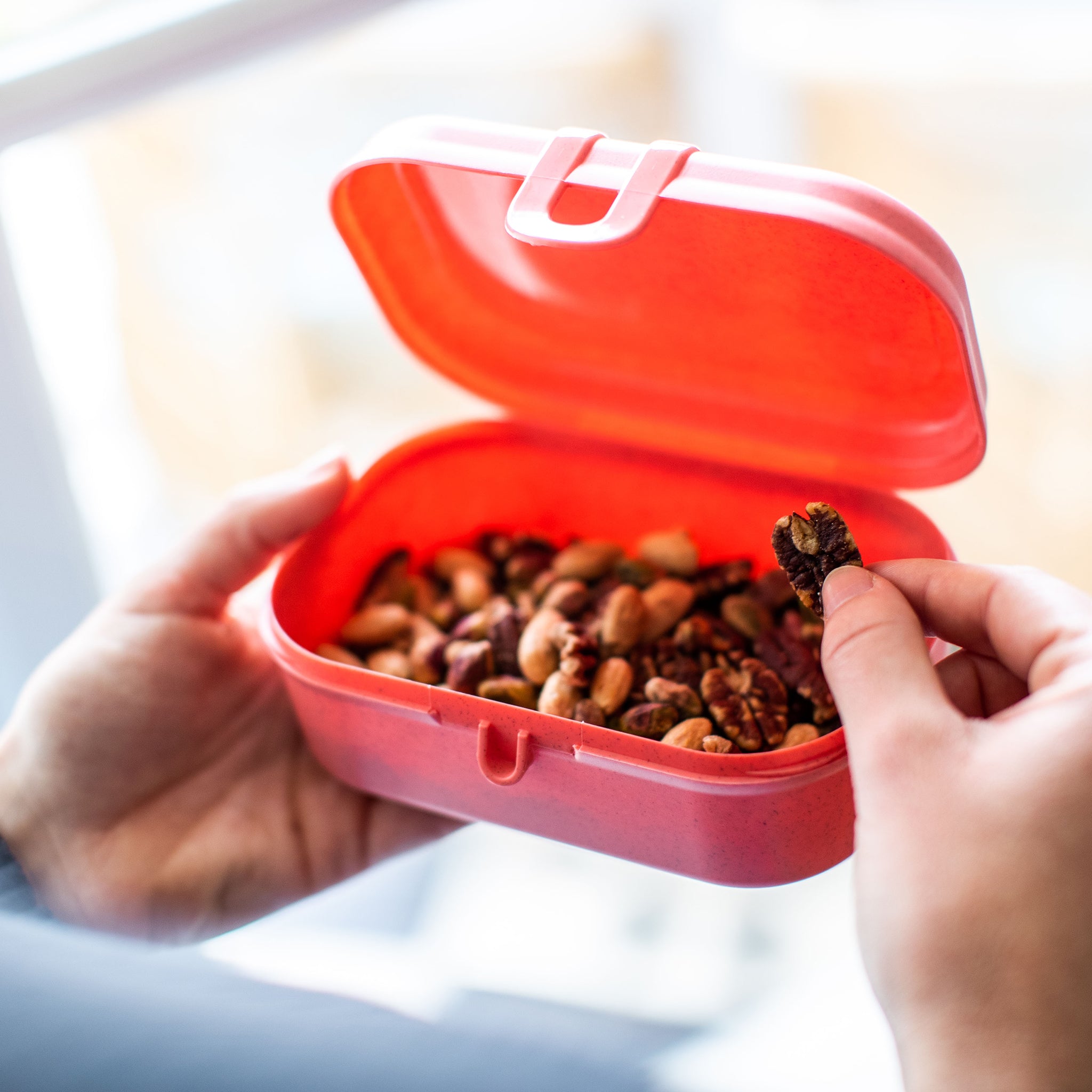 koziol Lunchbox PASCAL S