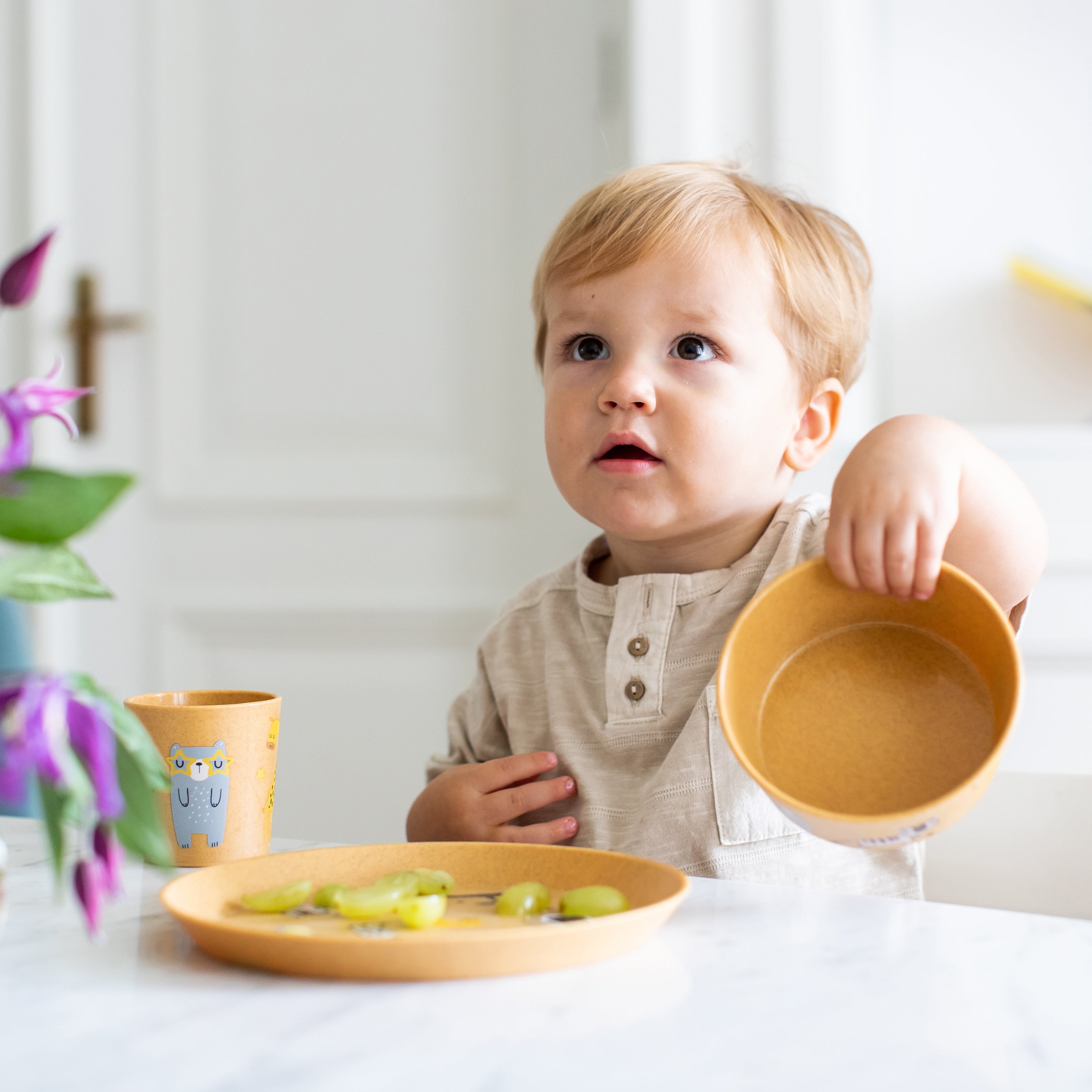 koziol Schale CONNECT BOWL ZOO