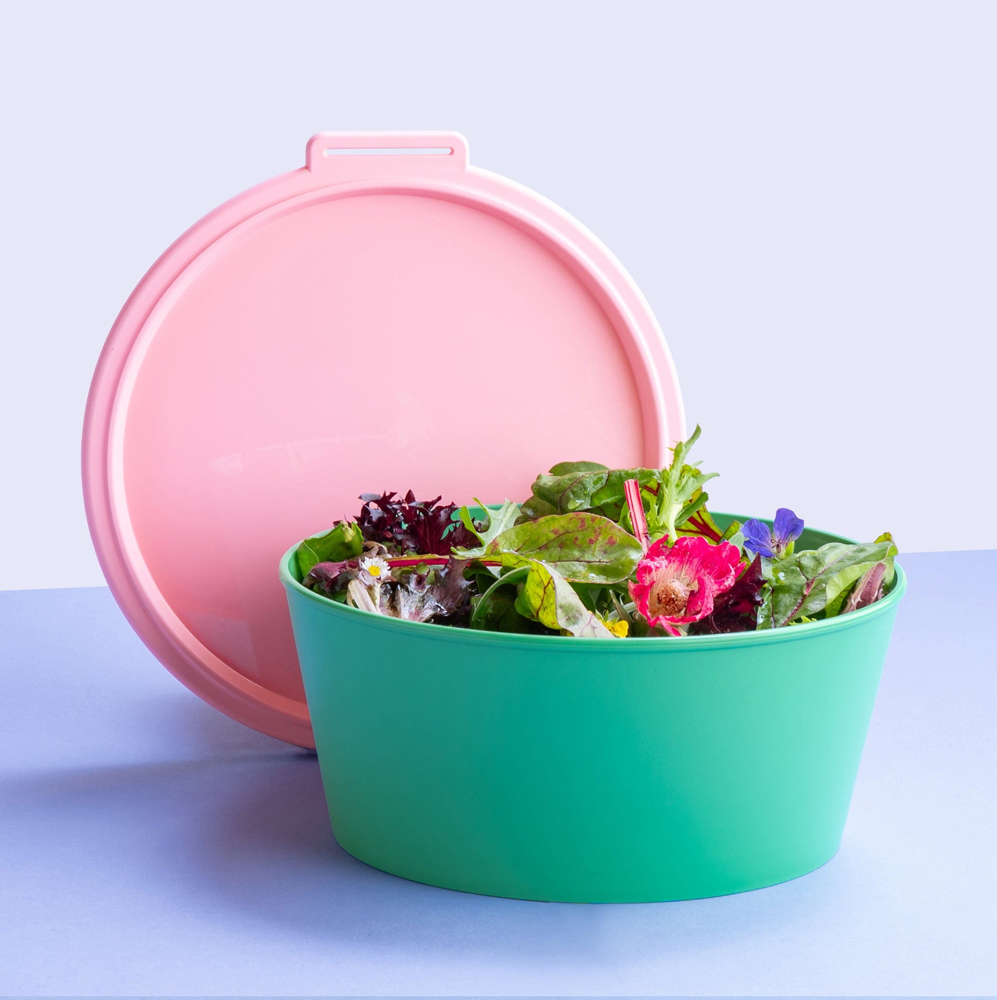 koziol Schale mit Deckel NORA BOX 2,2l