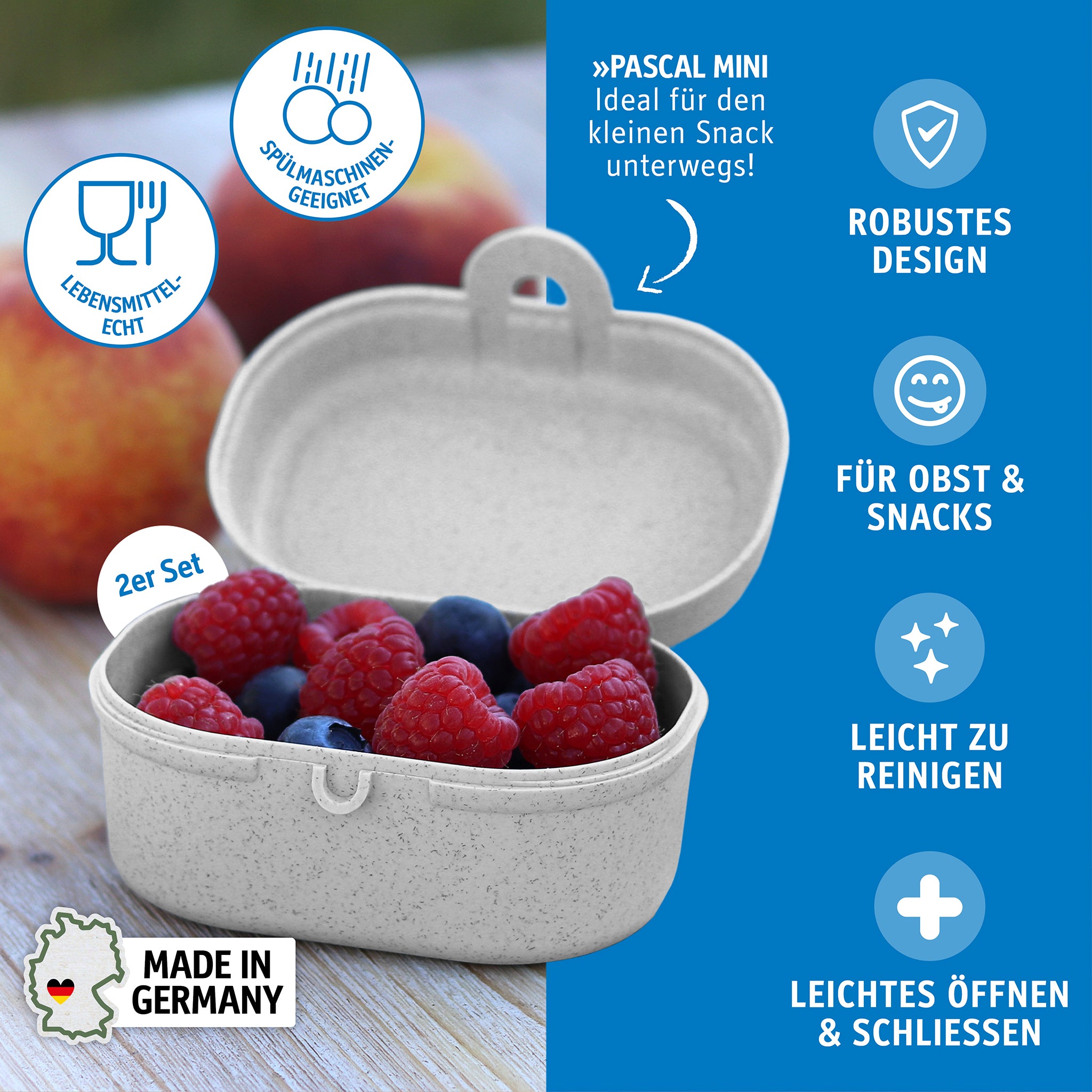 koziol Snackbox PASCAL MINI