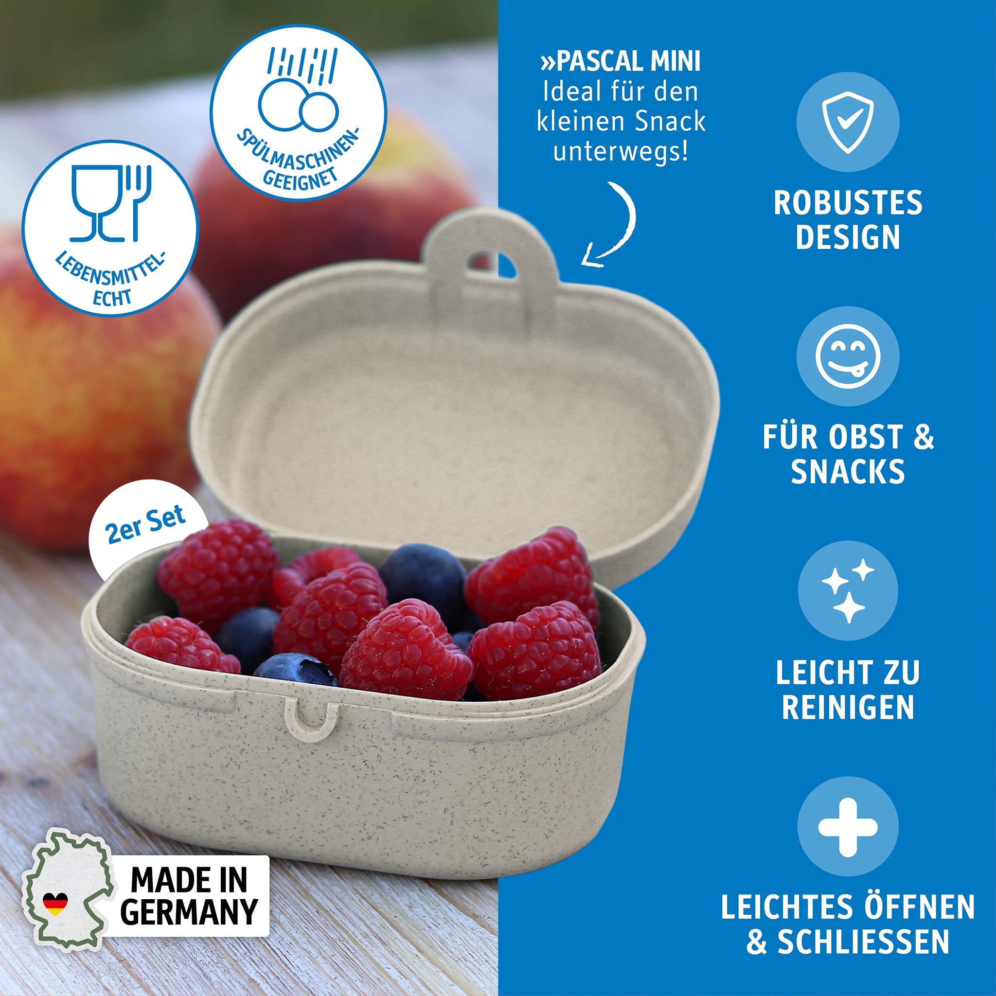 koziol Snackbox PASCAL MINI