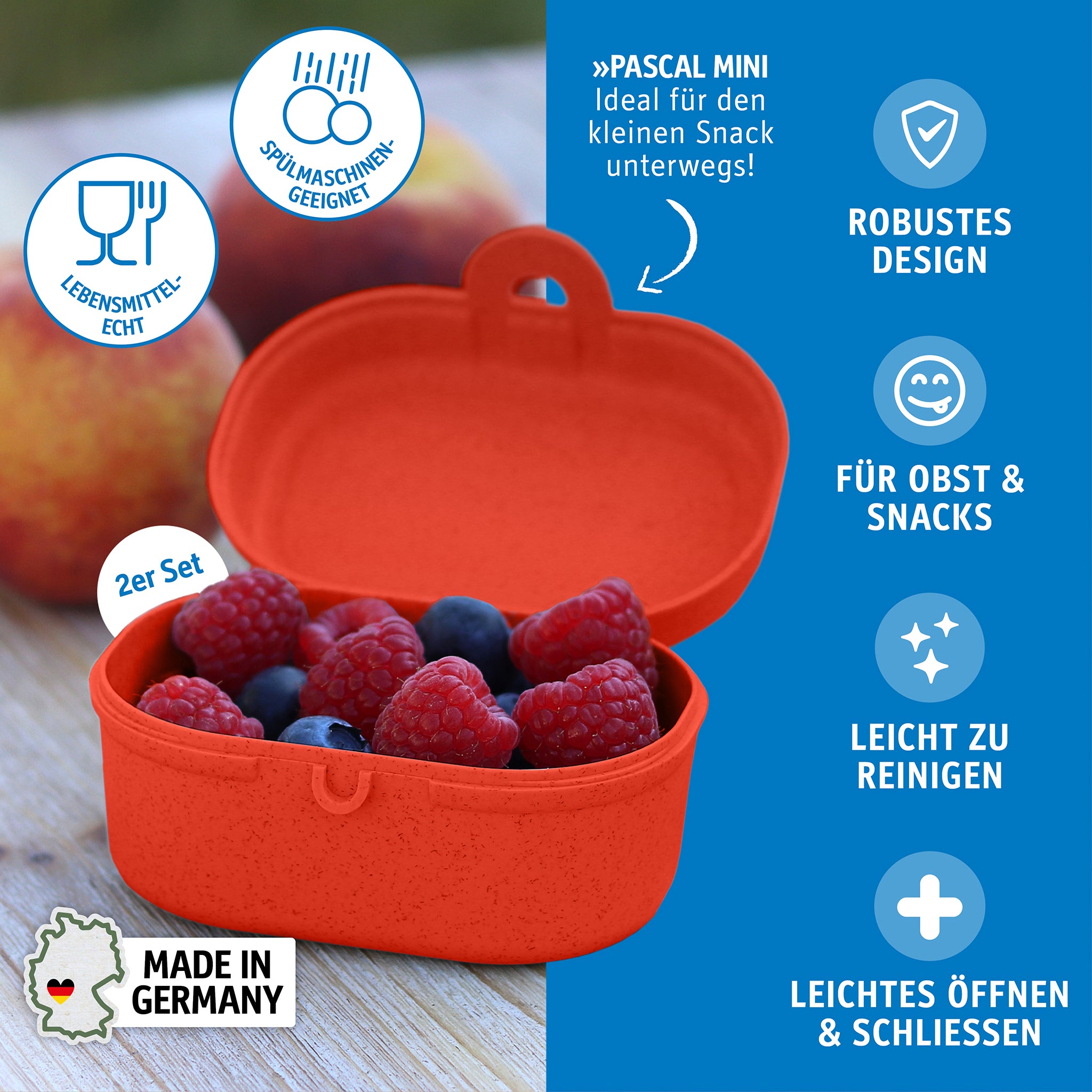koziol Snackbox PASCAL MINI