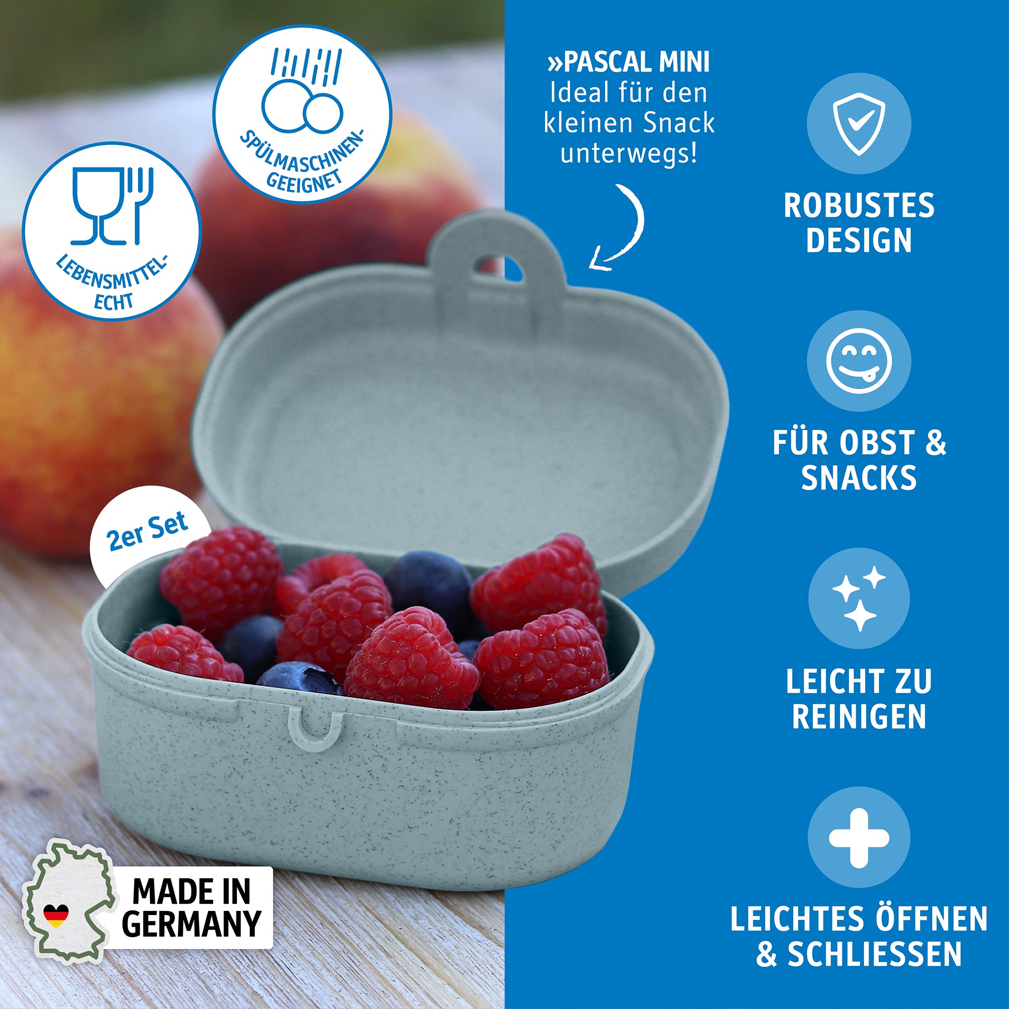 koziol Snackbox PASCAL MINI