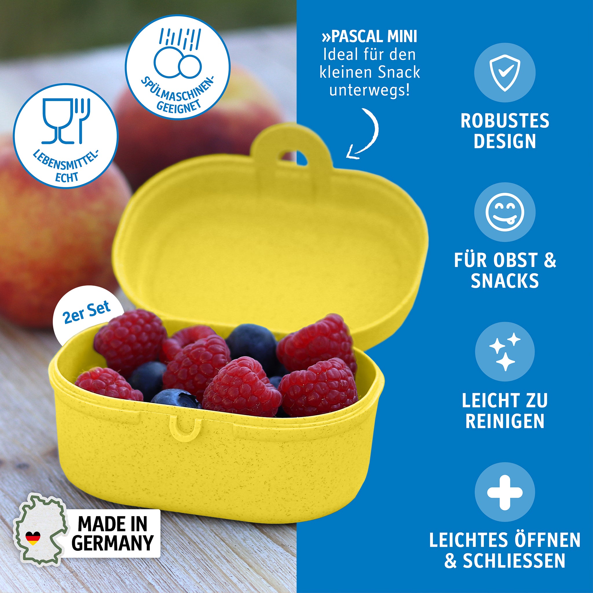 koziol Snackbox PASCAL MINI