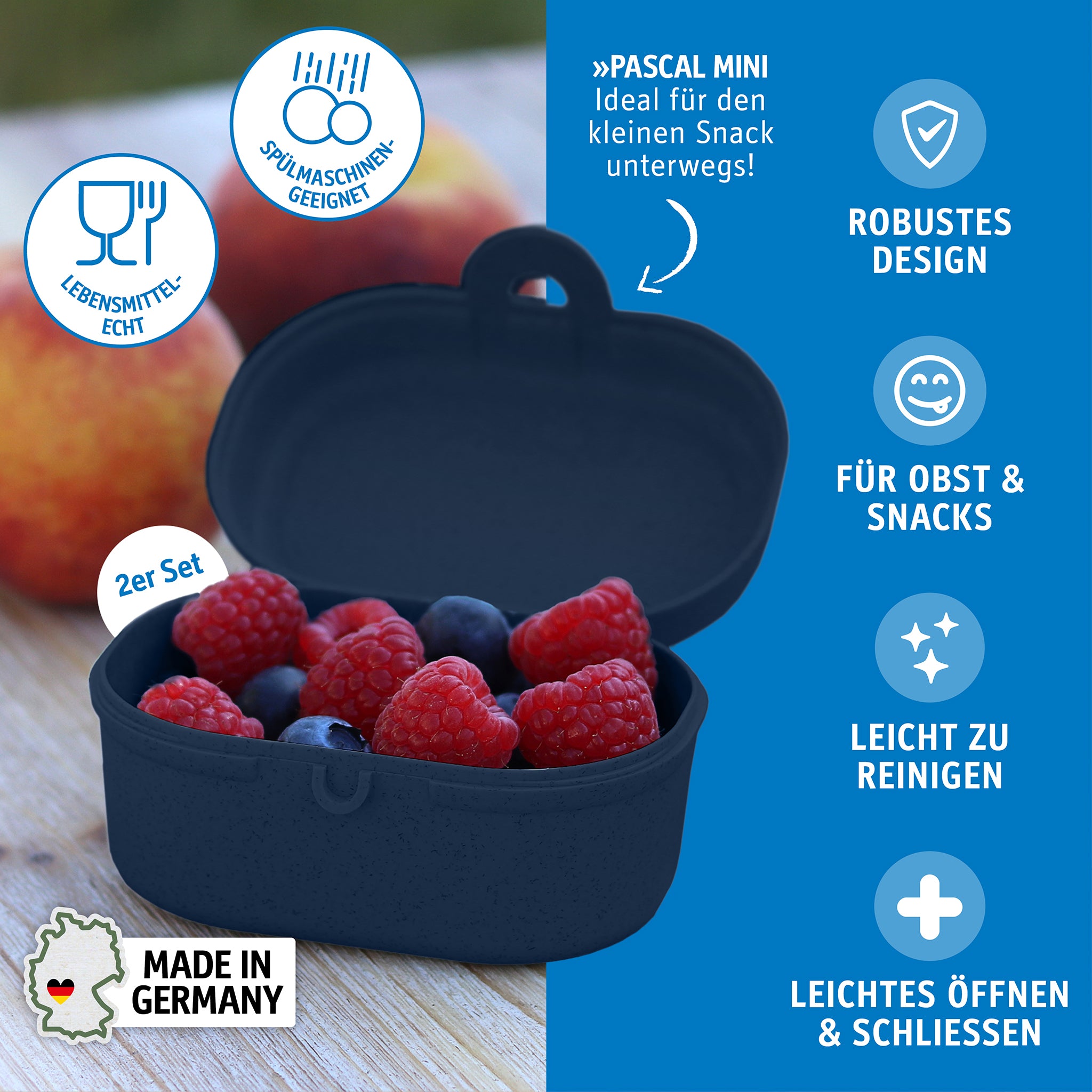 koziol Snackbox PASCAL MINI