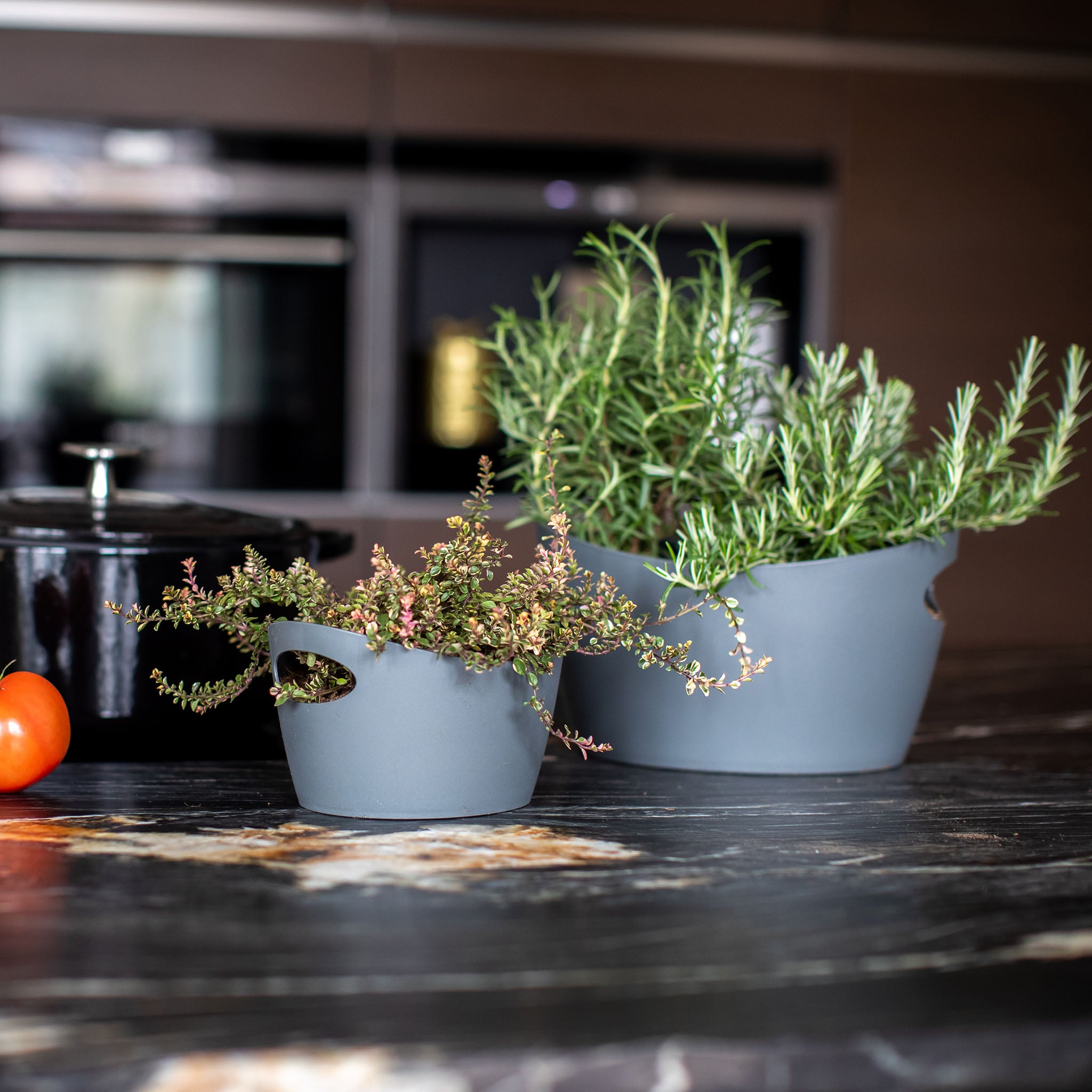 koziol Utensilo BOTTICHELLI S