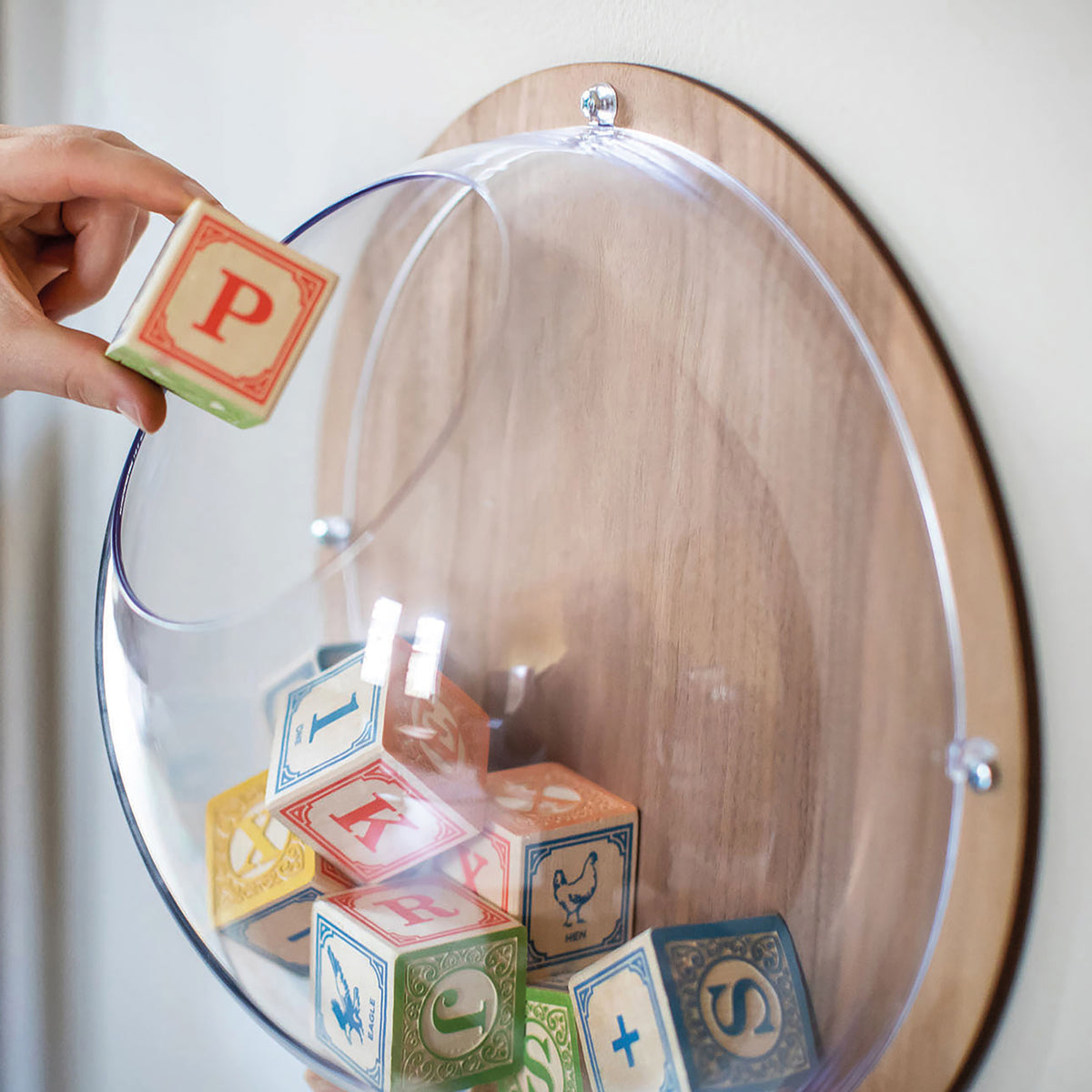 koziol Wand-Organizer mit Rückwandscheibe HEMI