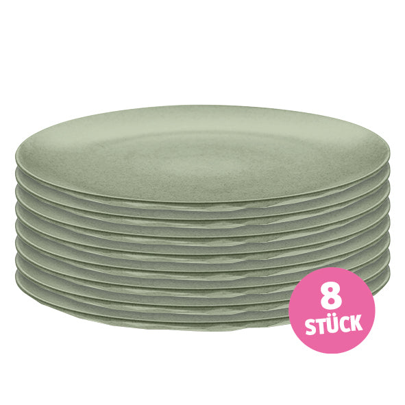 Flacher Teller CLUB PLATE 260mm 8er Set