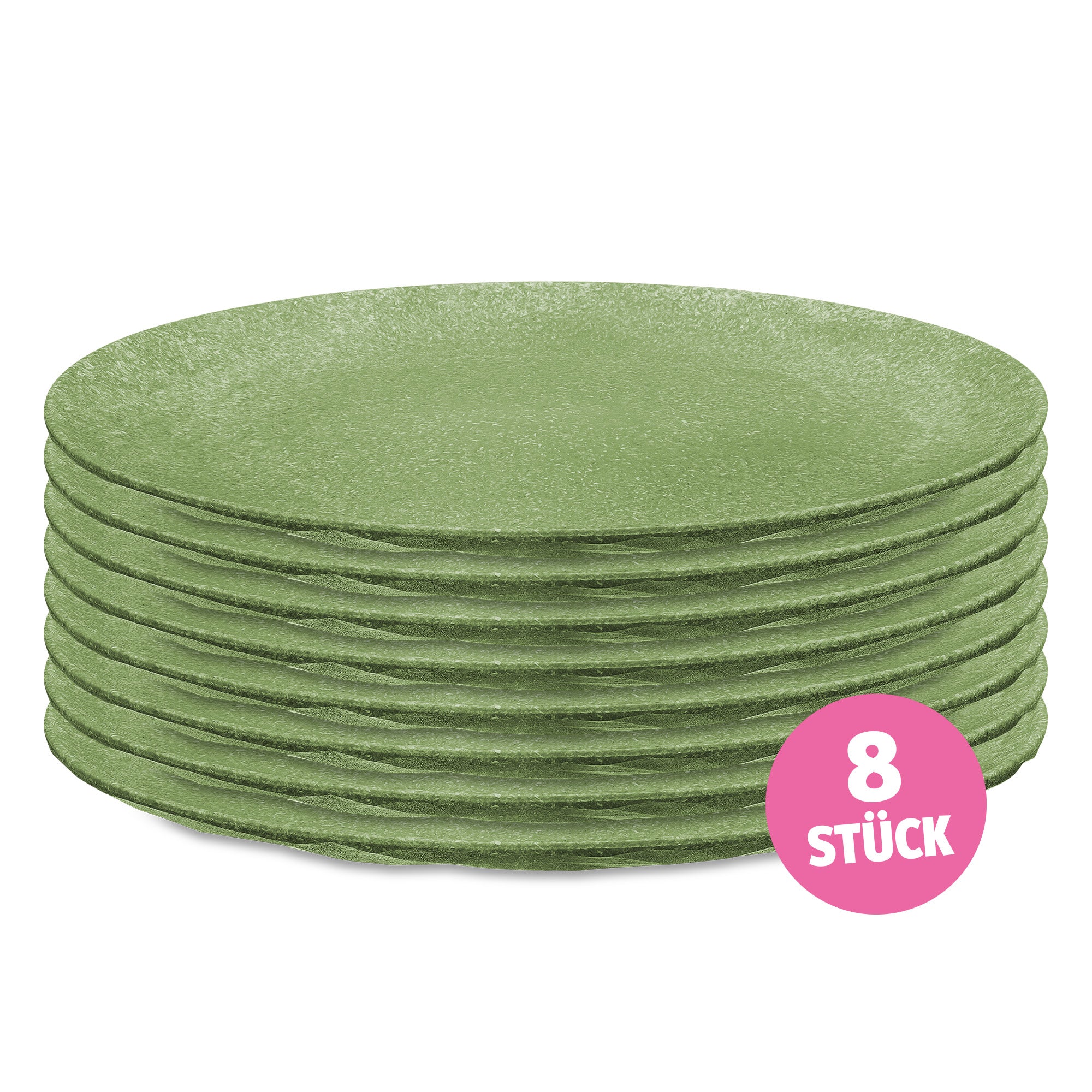 Flacher Teller CLUB PLATE 260mm 8er-Set