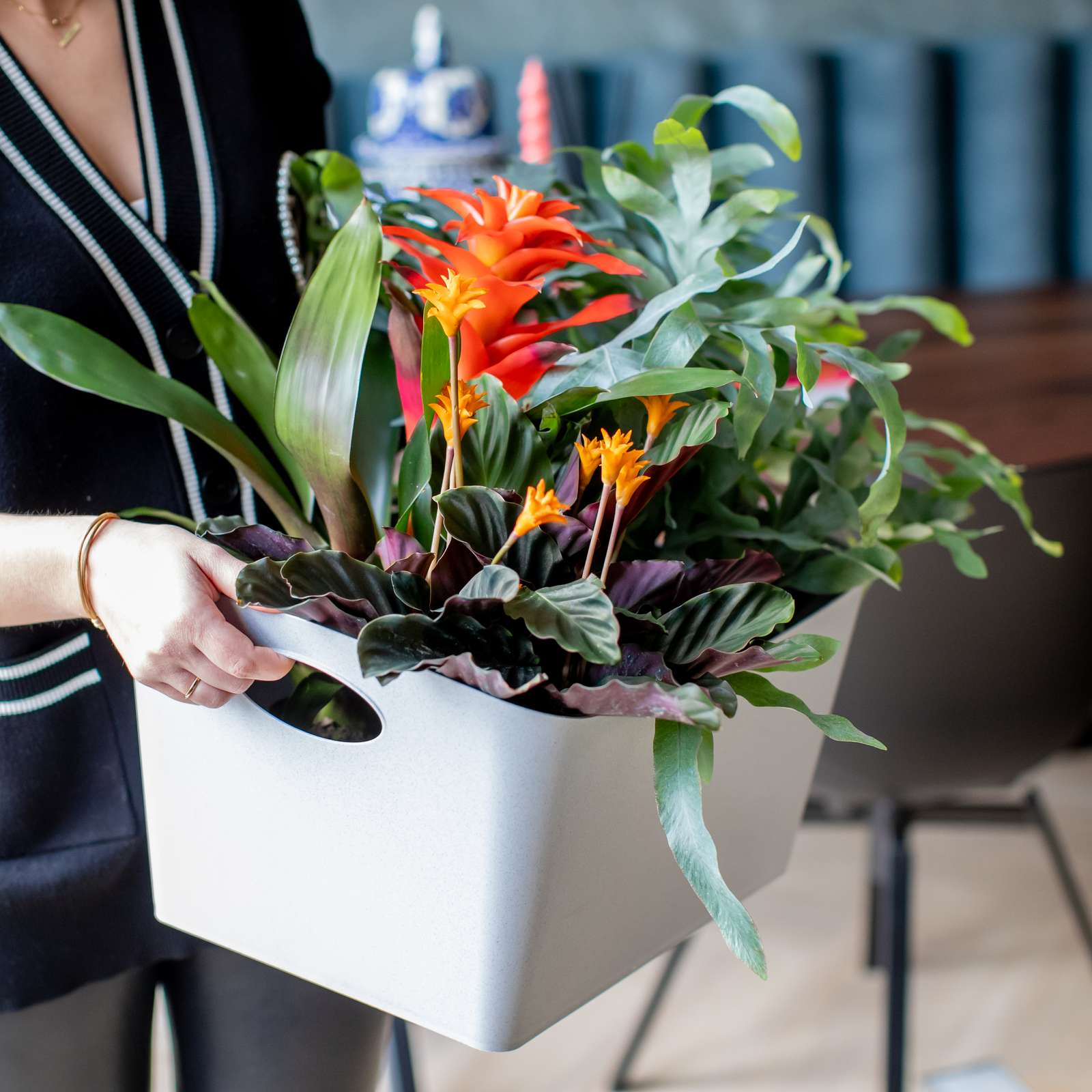 Aufbewahrungsbox BOXXX M