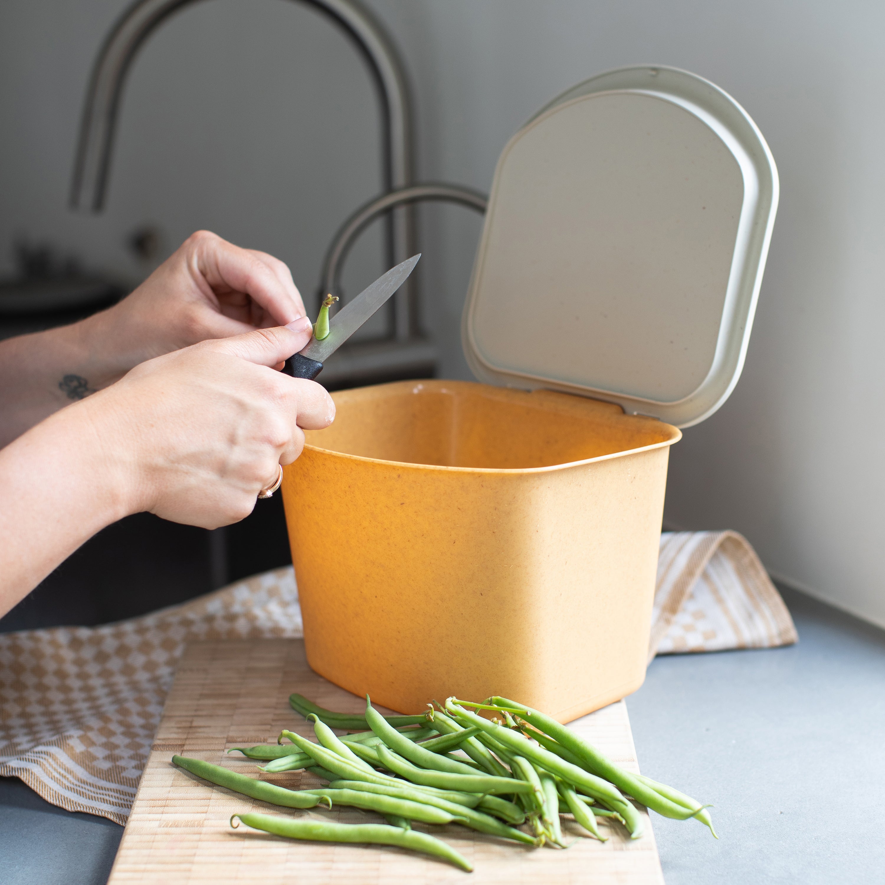 koziol Bio Abfall Behälter BIBO