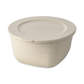 koziol Box mit Deckel 2l CONNECT BOX 2