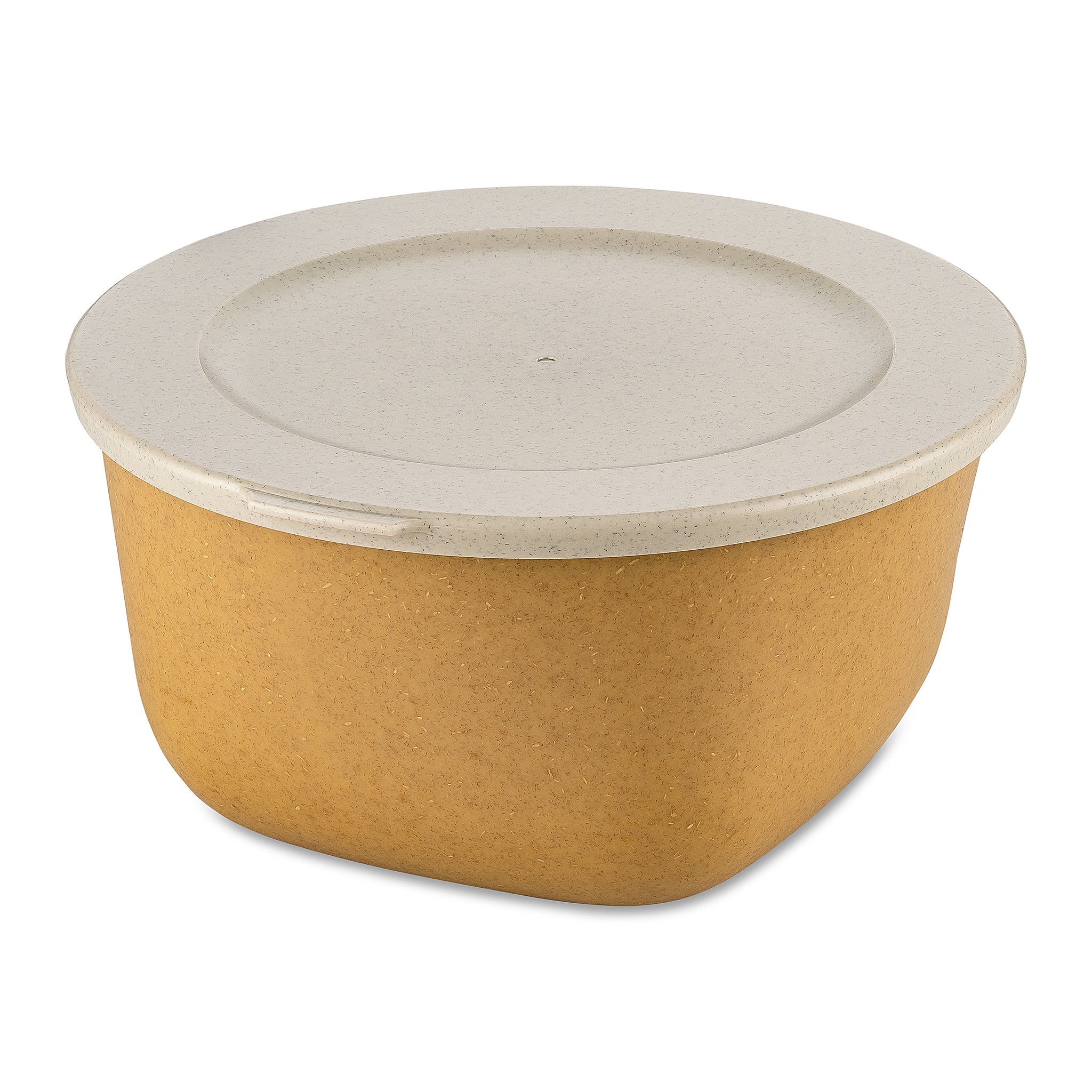 koziol Box mit Deckel CONNECT BOX 2