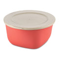 koziol Box mit Deckel CONNECT BOX 2 nature coral