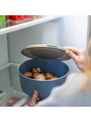 koziol Box mit Deckel CONNECT BOX 2