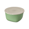 koziol Box mit Deckel CONNECT BOX 2 nature leaf green