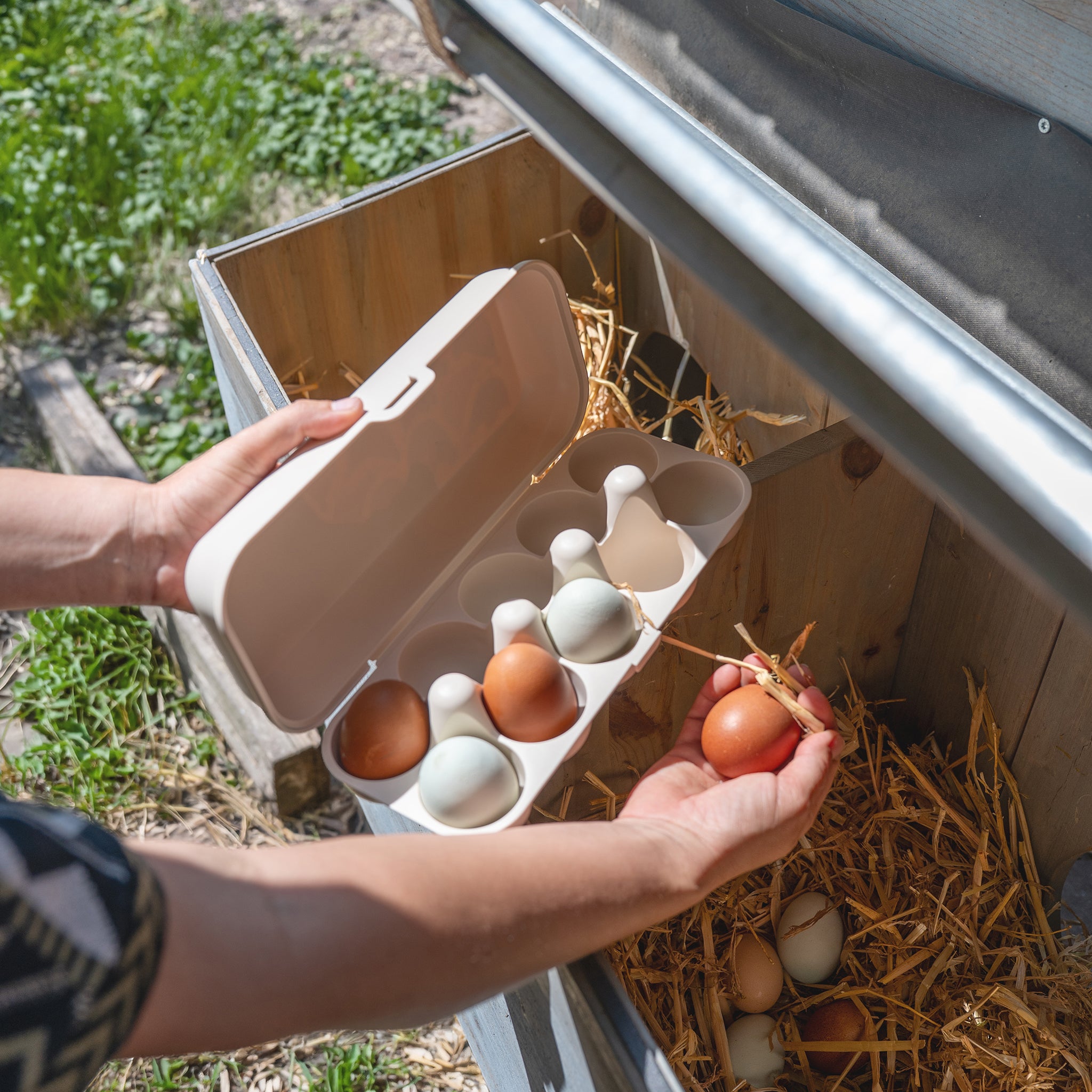 koziol Eierbox EGGS TO GO CREATIVE CHICKS