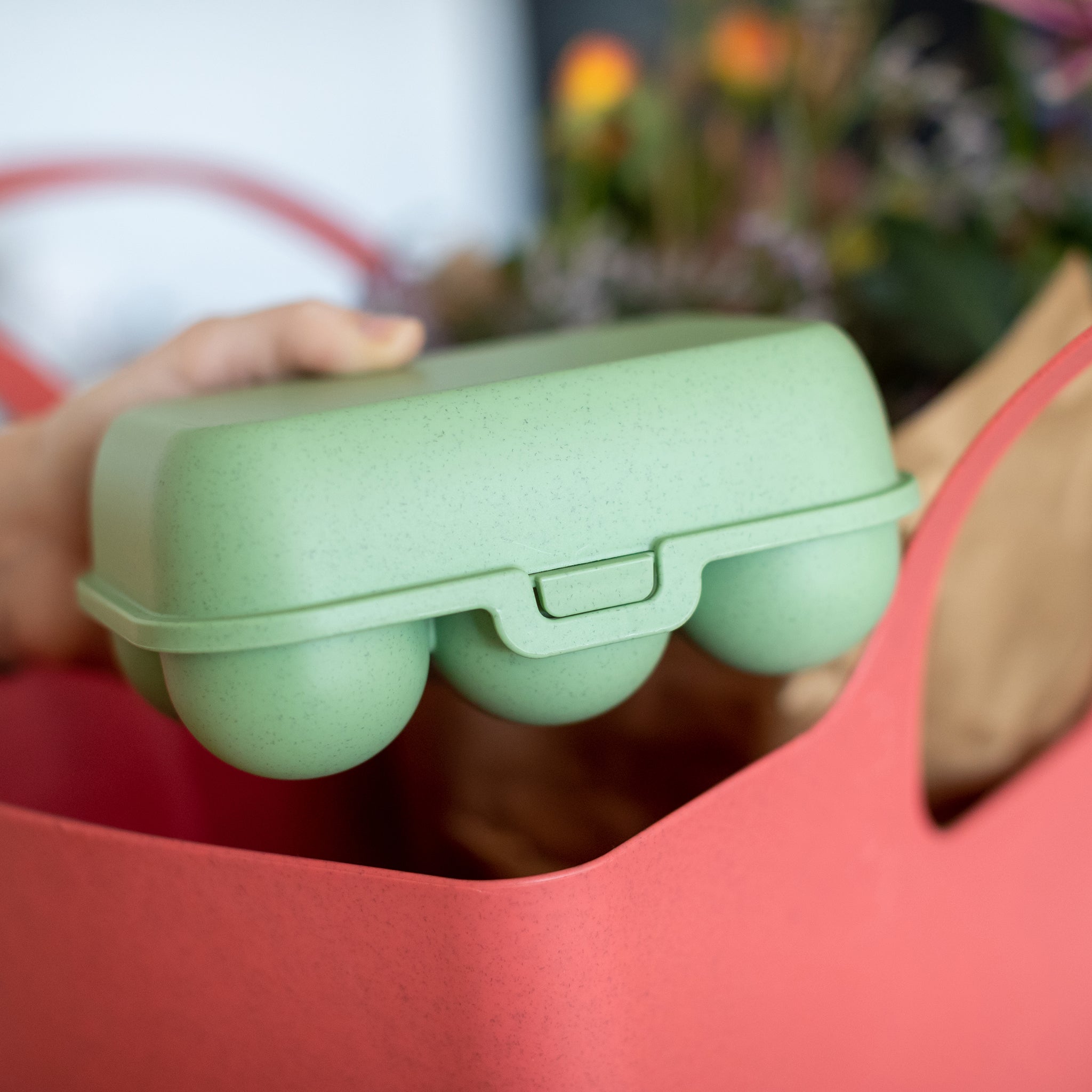 koziol Eierbox EGGS TO GO MINI