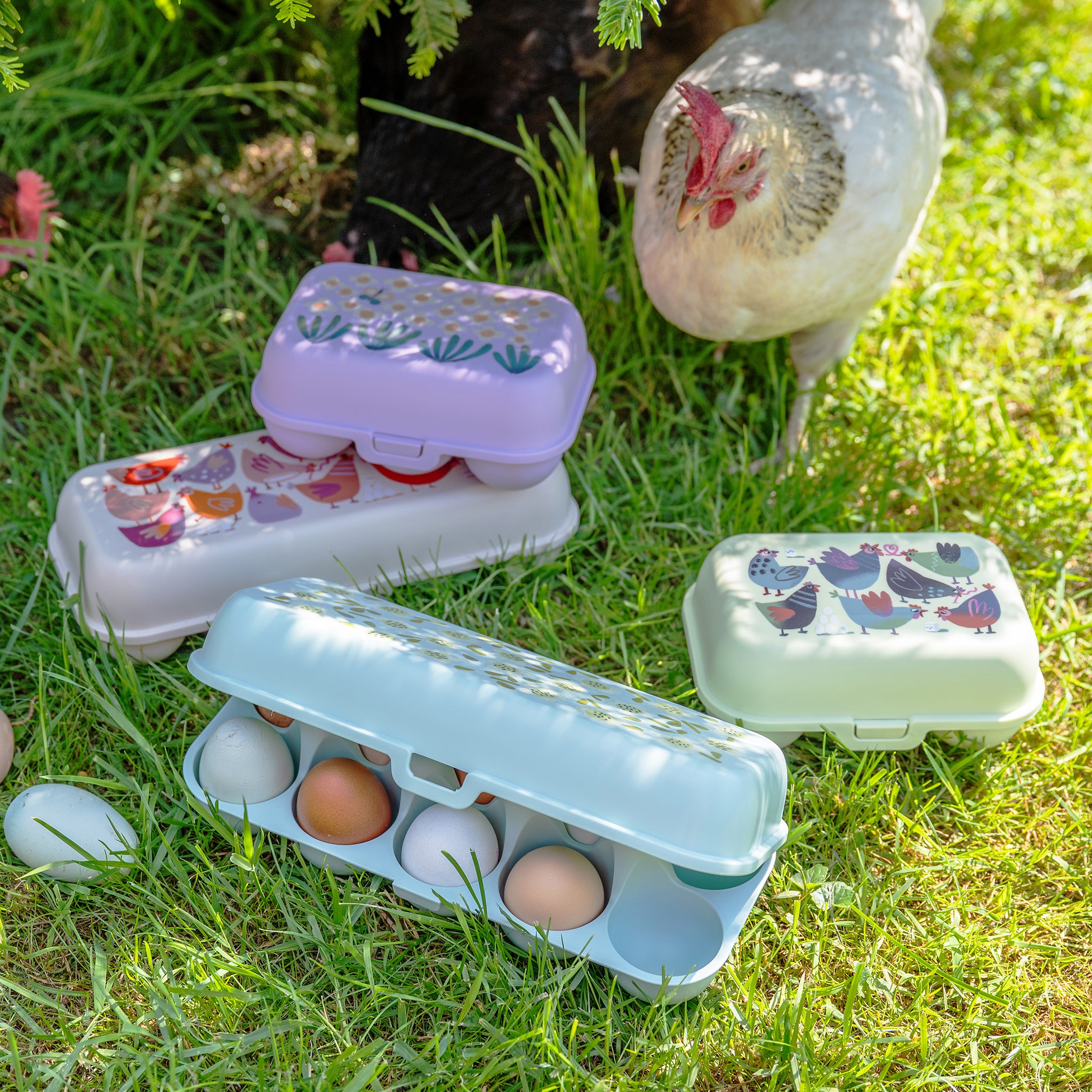 koziol Eierbox EGGS TO GO MINI BLOOMIES DAISY