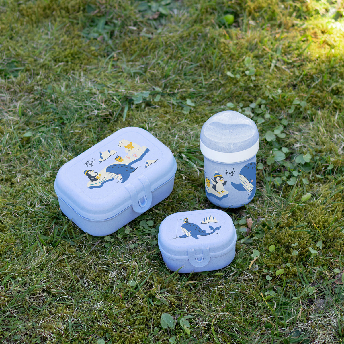 koziol Lunchbox-Set + Trinkflasche + Rucksack