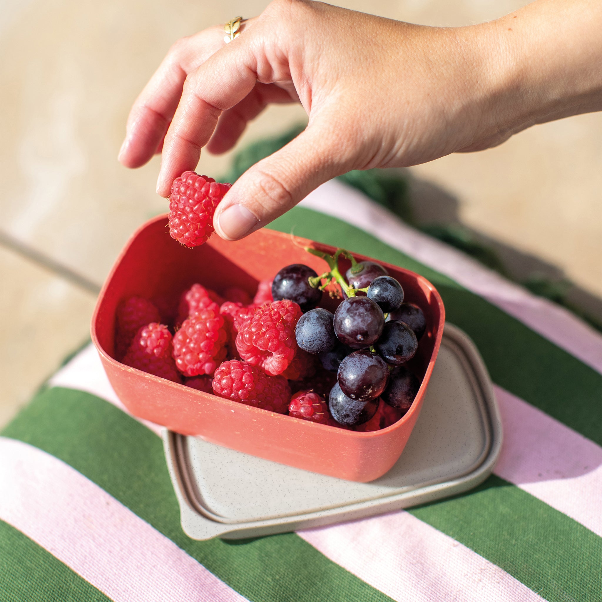 koziol Liquid Safe Box CANDY S