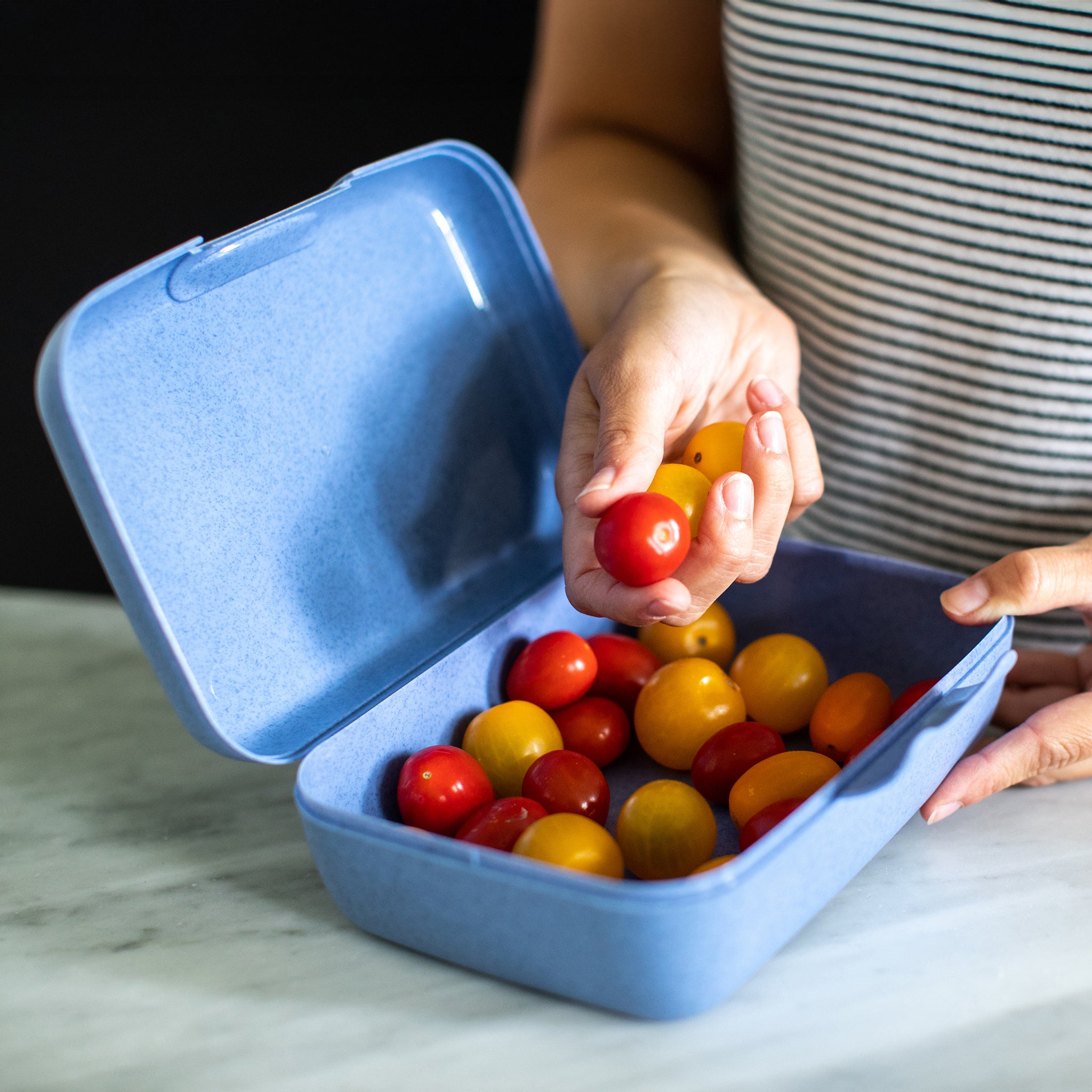 koziol Lunchbox CANDY L