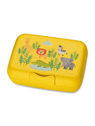 koziol Lunchbox mit Trennschale CANDY L AFRICA