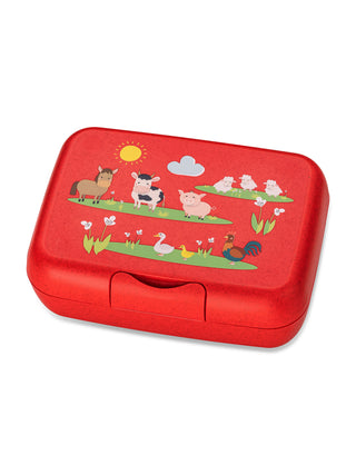 koziol Lunchbox mit Trennschale CANDY L FARM