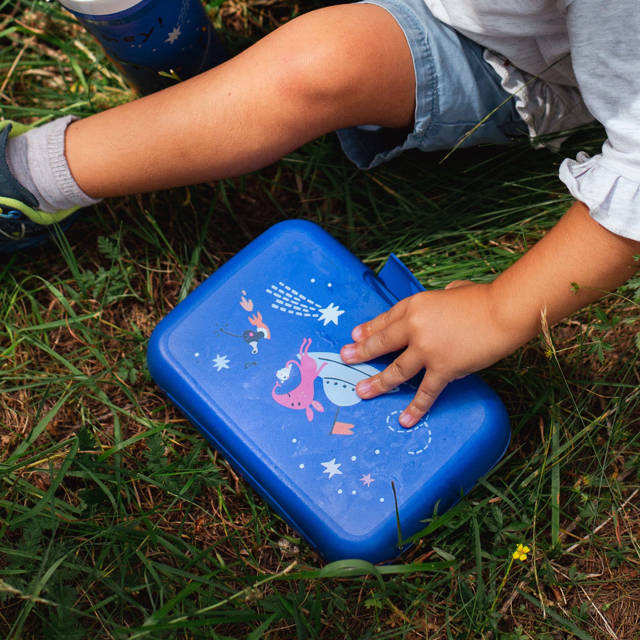 koziol Lunchbox mit Trennschale CANDY L SPACE