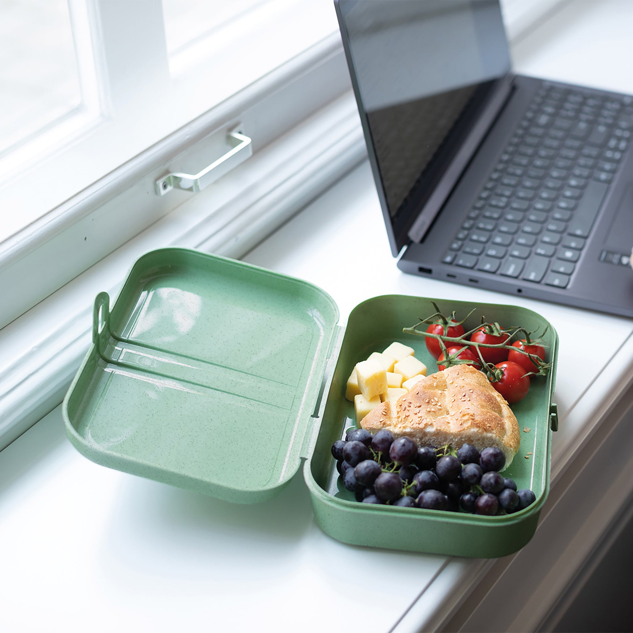 koziol Lunchbox mit Trennsteg PASCAL L