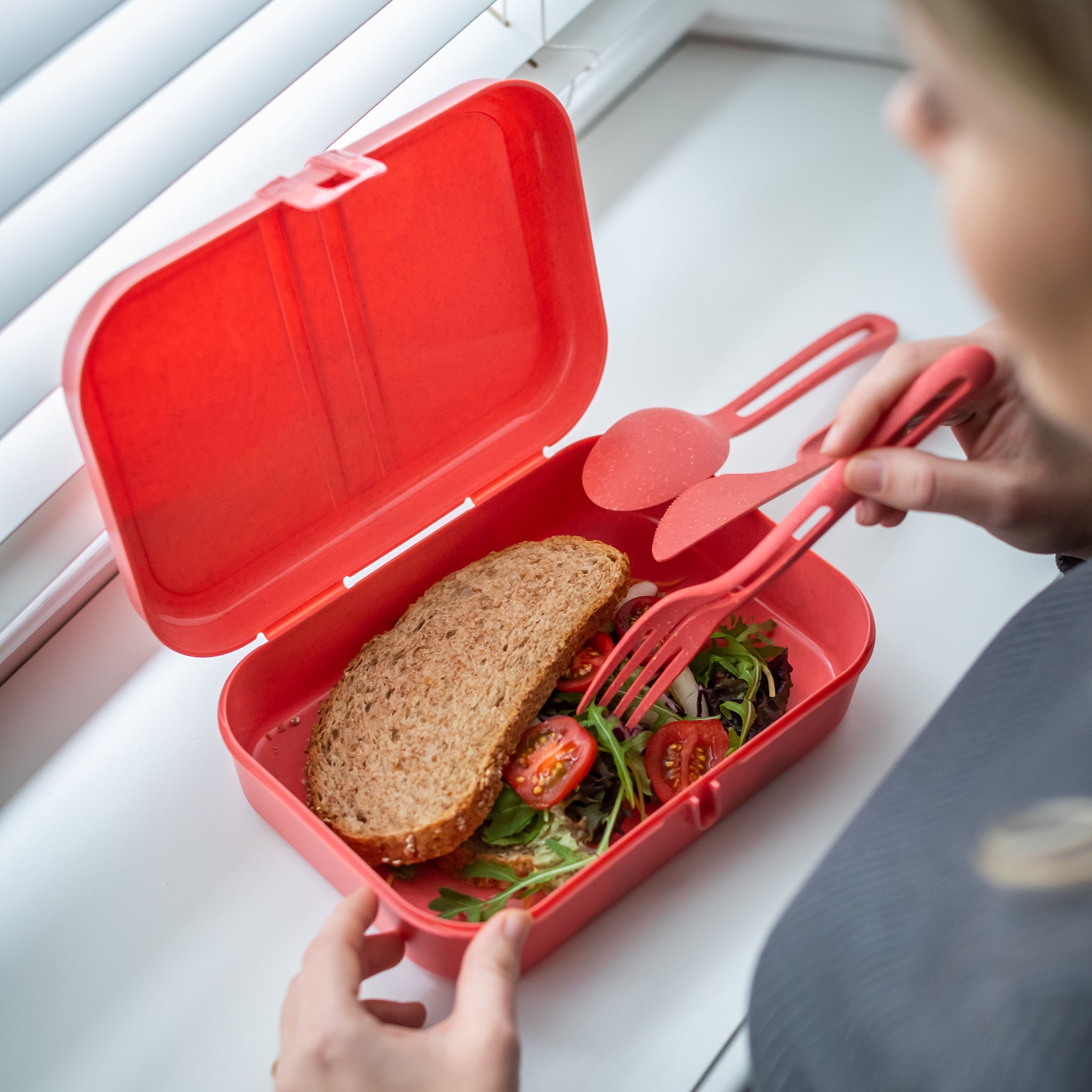 koziol Lunchbox mit Trennsteg PASCAL L