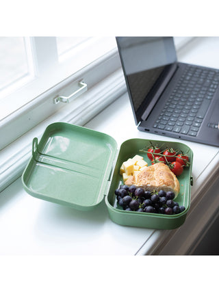 koziol Lunchbox mit Trennsteg PASCAL L