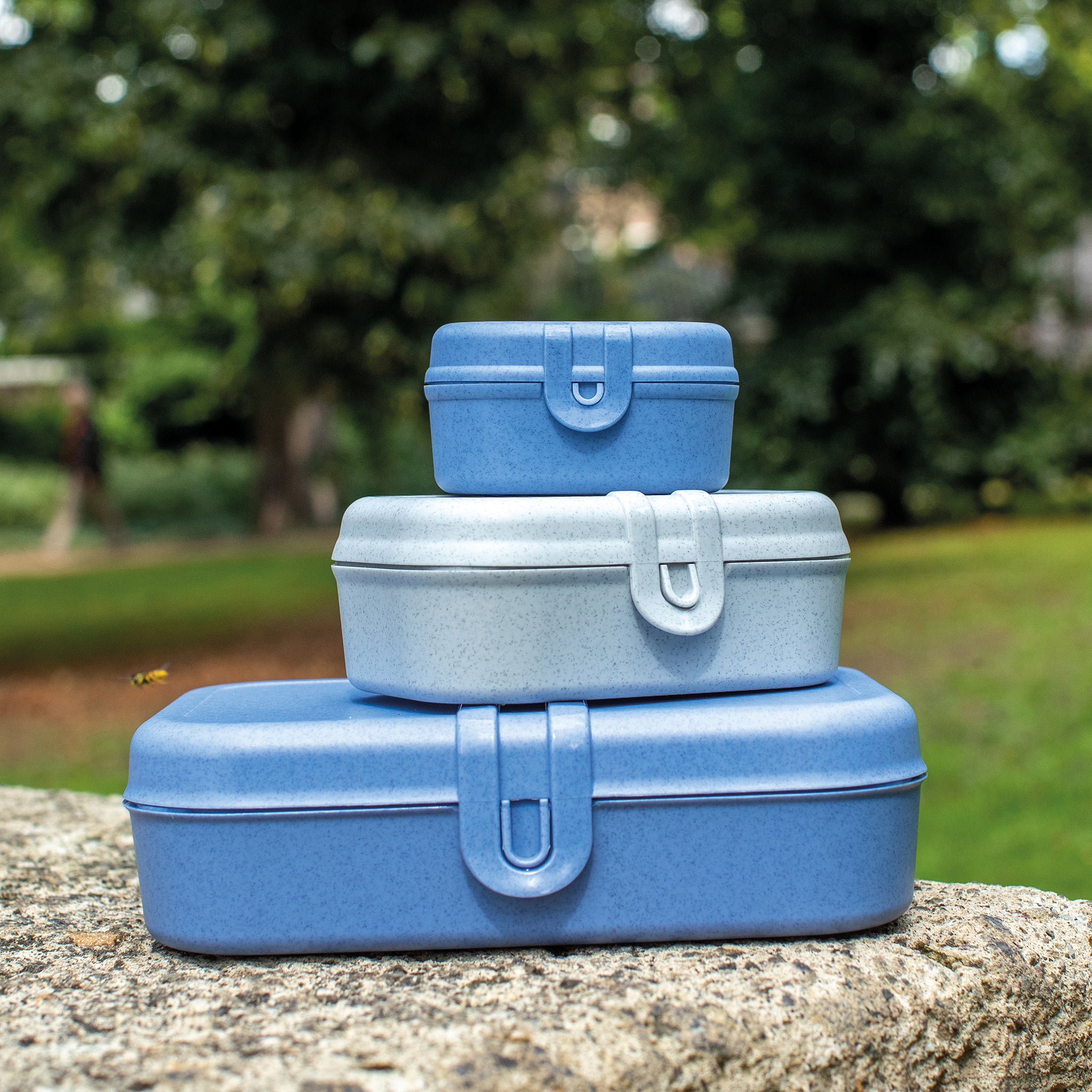 koziol Lunchbox PASCAL L