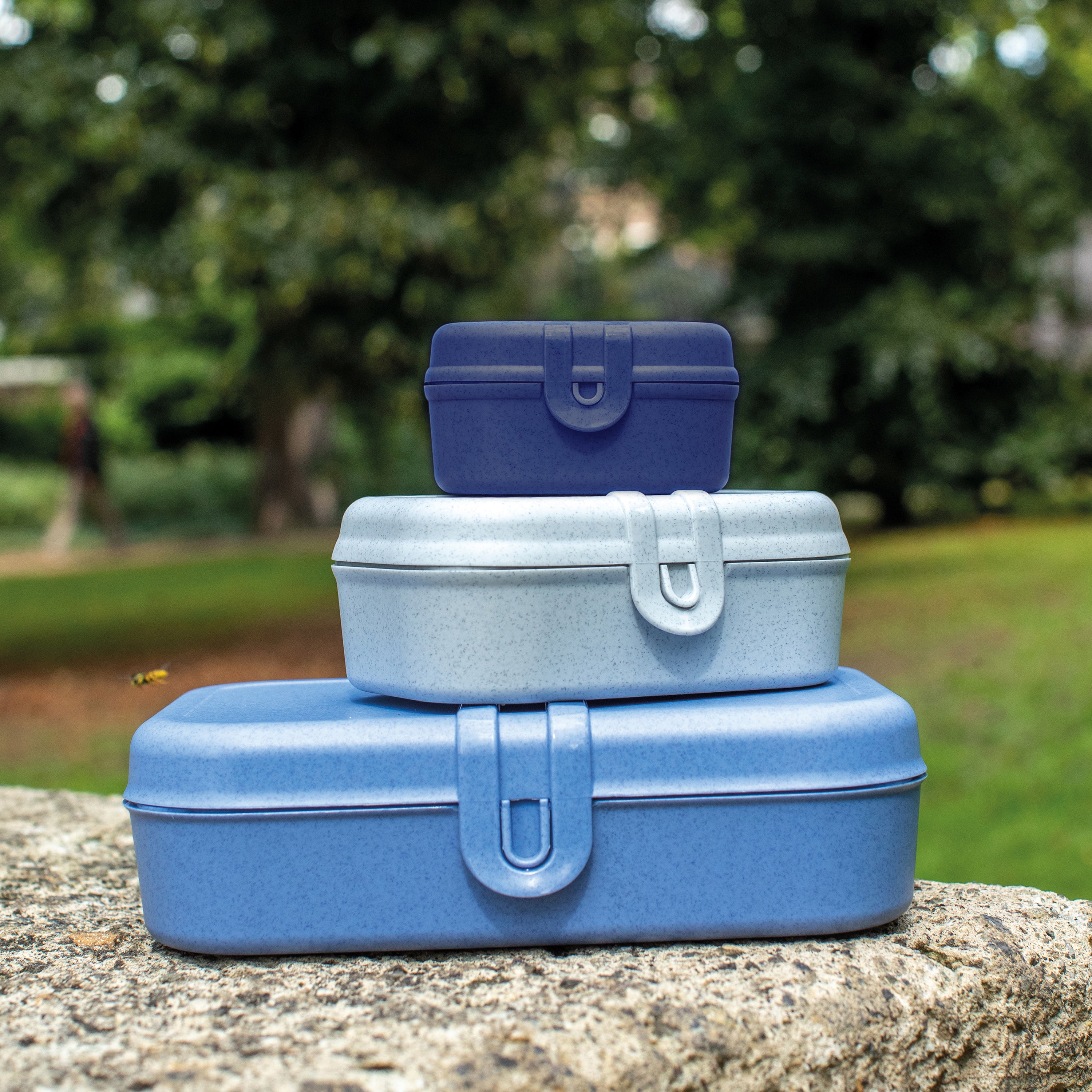 koziol Lunchbox PASCAL MINI