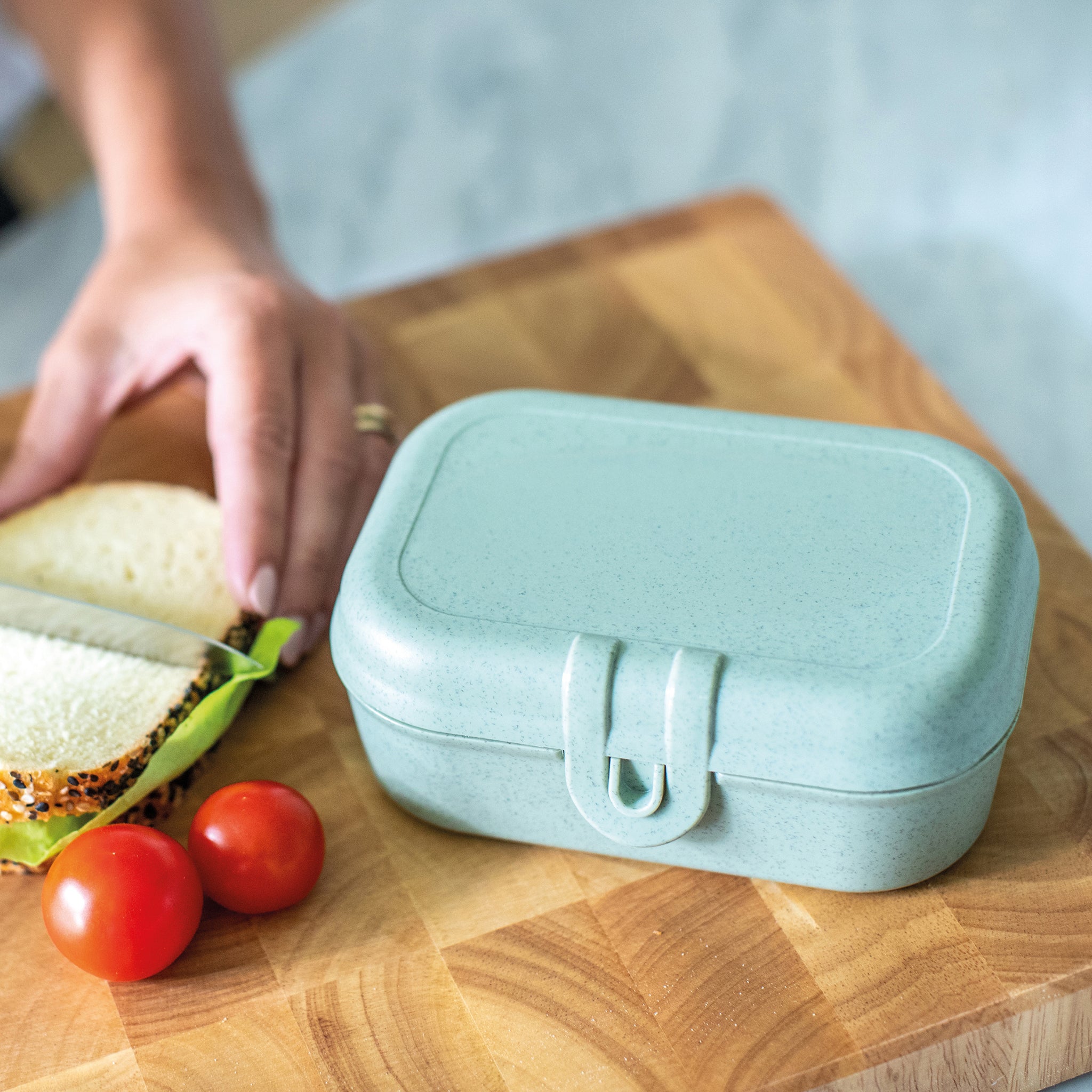 koziol Lunchbox PASCAL S