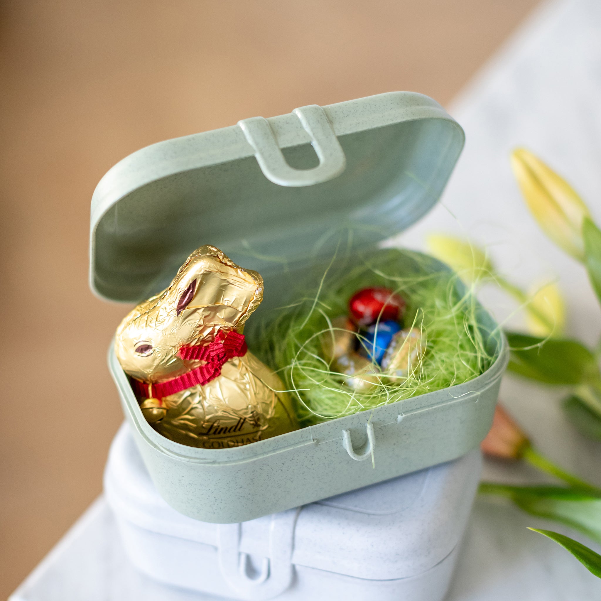 koziol Lunchbox PASCAL S