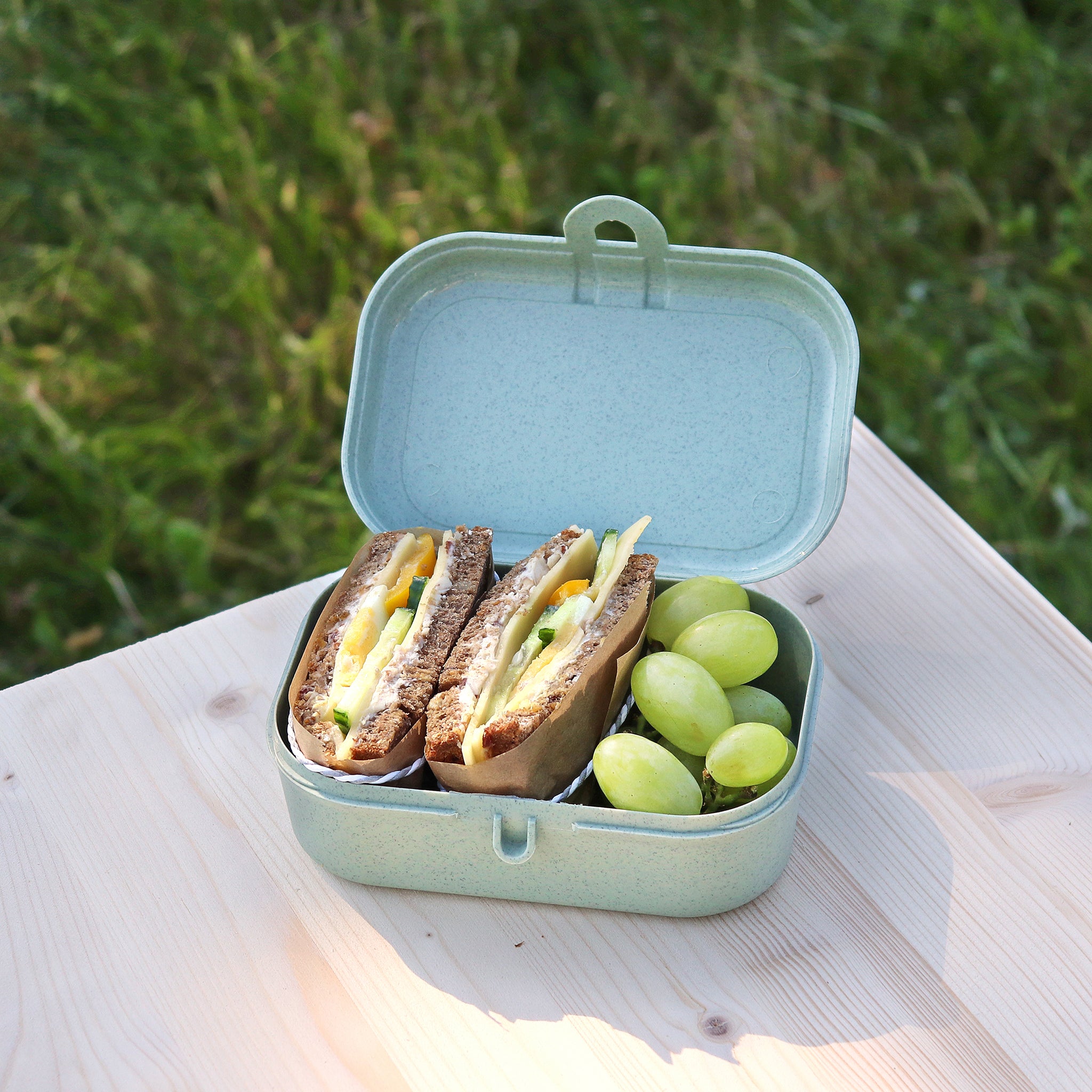 koziol Lunchbox PASCAL S