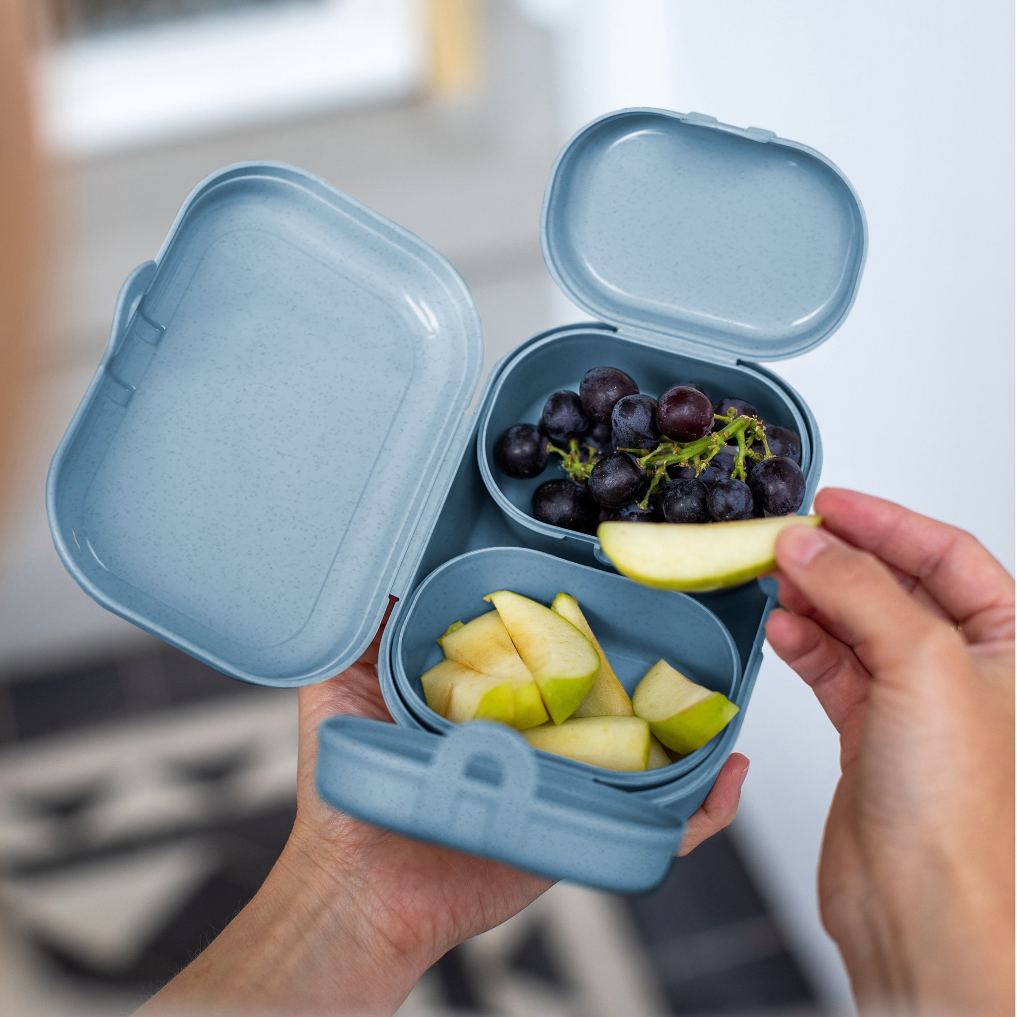 koziol Lunchbox-Set PASCAL READY MINI