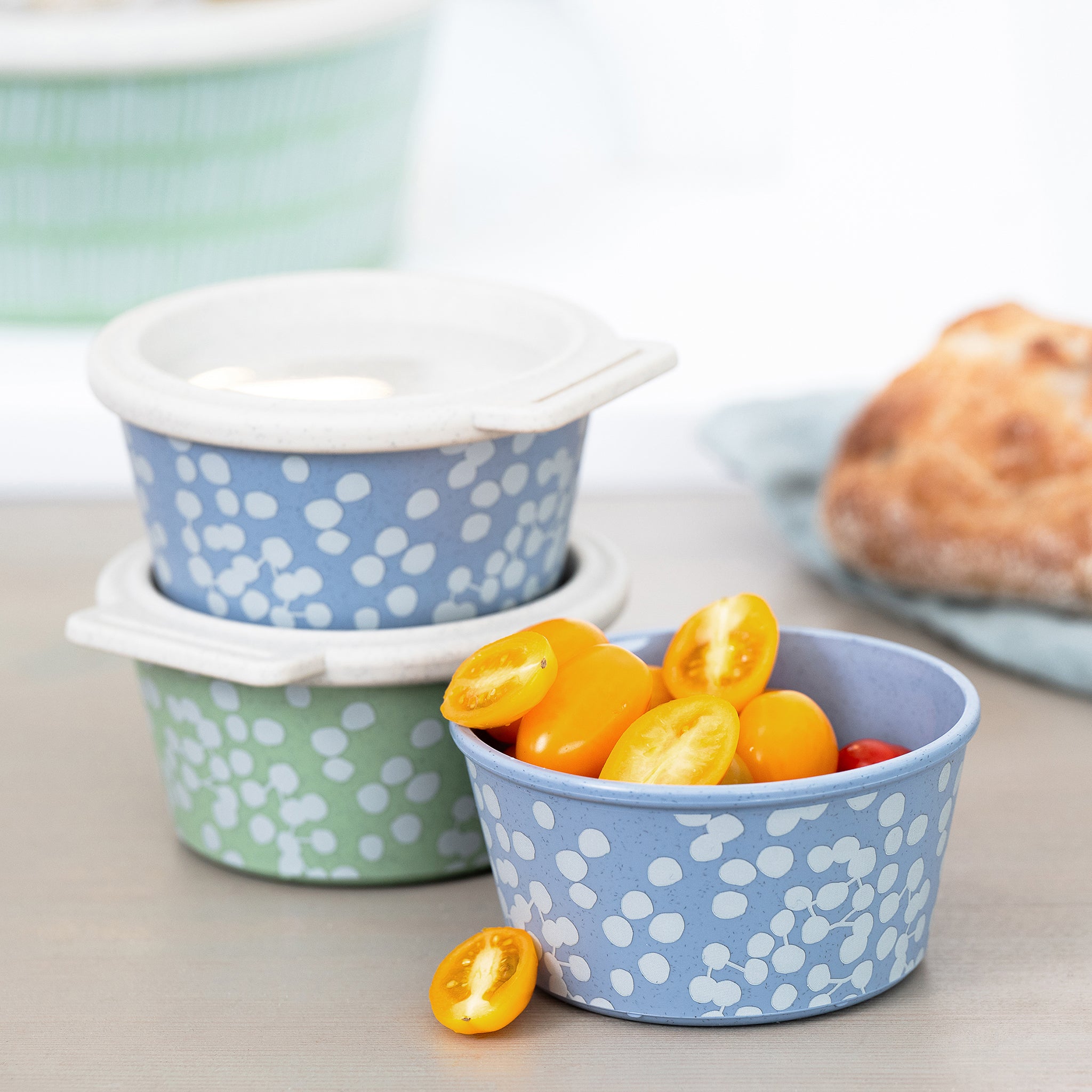 koziol Schale mit Deckel BLOMSTER BOX 250ml DOT